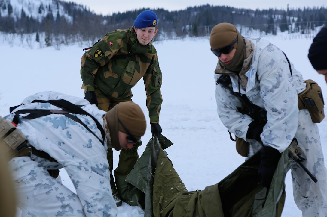 U.S. Marines with Company G, 2nd Battalion, 2nd Marine Regiment, 2nd Marine Division learn how to set up ten-man tents from the Norwegian Army Host Nation Support Battalion during a short field exercise March 3, 2014. The Marines and Norwegian soldiers spent three days learning to work together and how to operate in the Norwegian winter environment to prepare the Marines and soldiers for Exercise Cold Response, which is a multinational and multilateral training exercise. The exercise will feature various types of military training including maritime, land and air operations. The location, above the Arctic Circle in northern Norway, provides a unique cold-weather environment for all forces involved to learn and develop procedures from one another.
