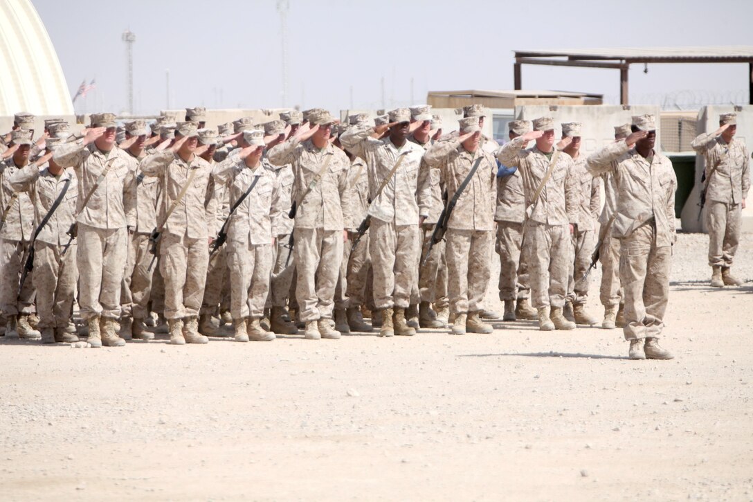 Marines and sailors with 1st Battalion, 9th Marine Regiment, 2nd Marine Division salute during the memorial service for Lance Cpl. Caleb L. Erickson aboard Camp Leatherneck, Afghanistan, March 7. Erickson, of Waseca, Minn., a motor transportation mechanic stationed out of Camp Lejeune, N.C., died while conducting combat operations in Helmand province, Afghanistan, Feb. 28, 2014.