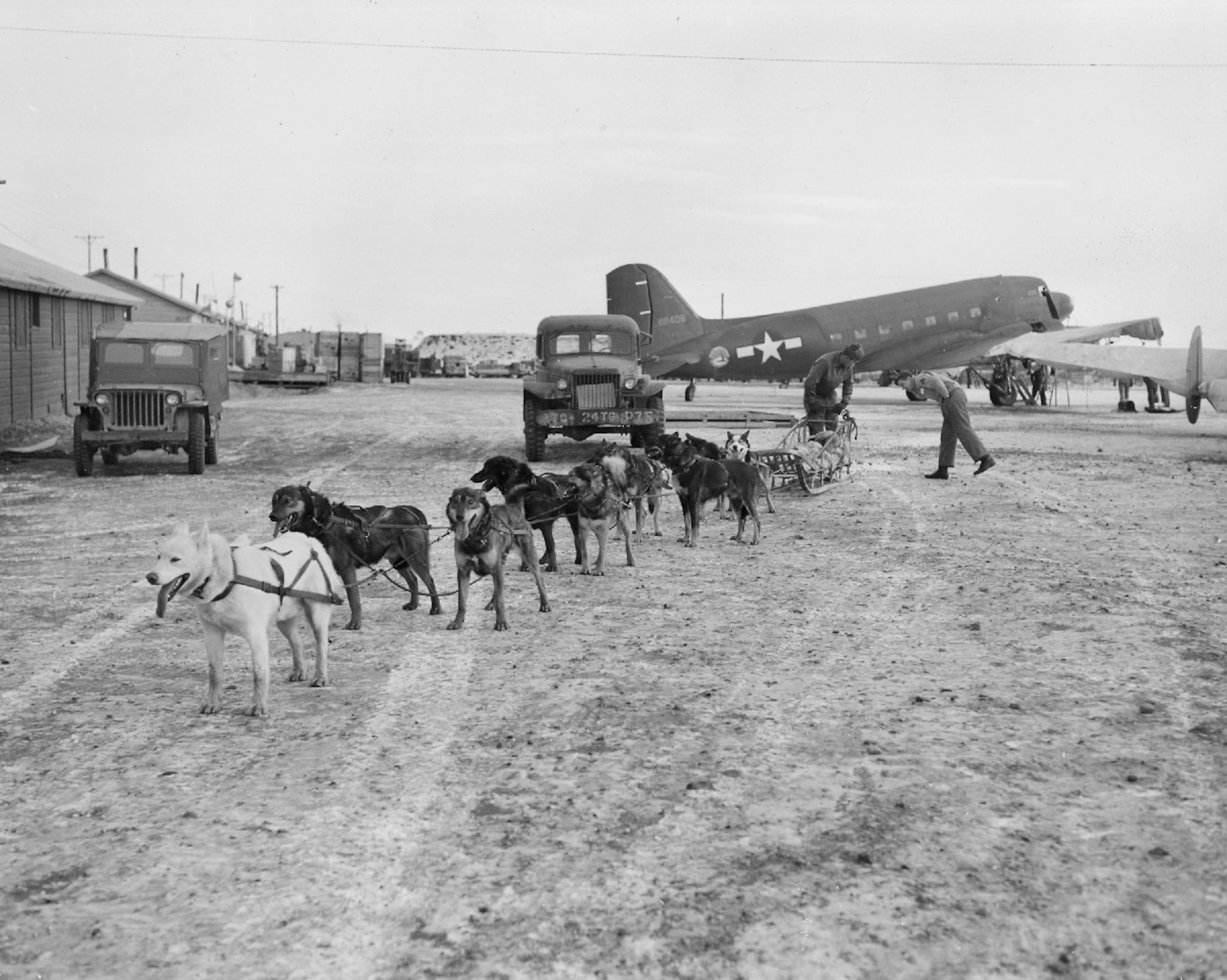 A team of military working dogs rests outside a Douglas C-47 Skytrain circa 1945 at Ladd Field, Fairbanks, Alaska. (Photo courtesy of University of Alaska, Fairbanks, archives)