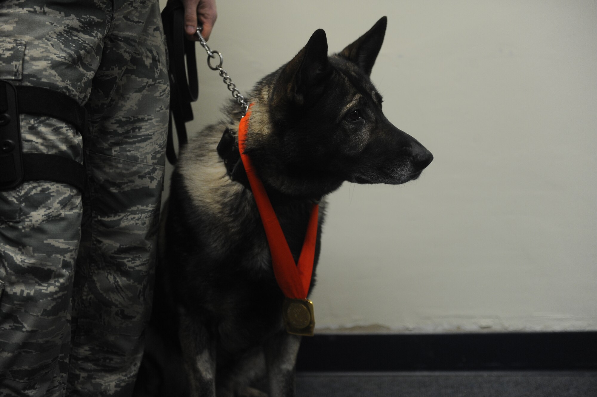 The American 300 tour visited Minot Air Force Base Airmen led by founder Robi Powers, and three special guests.  Olympic medalists Phil and Steve Mahre, and X Games medalist Erin Nemec, joined Powers in sharing their stories of failure and triumph through their careers, and the importance of teamwork and camaraderie.  Passing their medals from Airman to Airman, the Olympians made a point to share their victories with the service men and women of the United States, stating that a win for an American Olympian, is a win for America. (U.S. Air Force photos/Airman 1st Class Lauren Pitts)