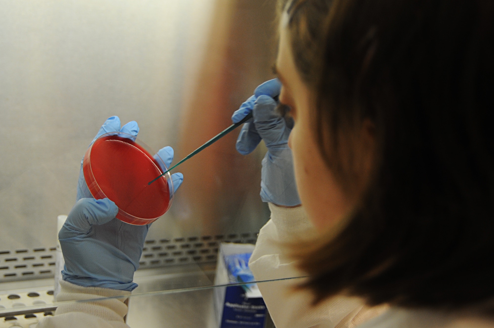 Kiser examines the culture. The microbiology section also does blood typing, antibody screens and tests for mononucleosis and rheumatoid. (U.S. Air Force photo/Airman 1st Class Megan Friedl)