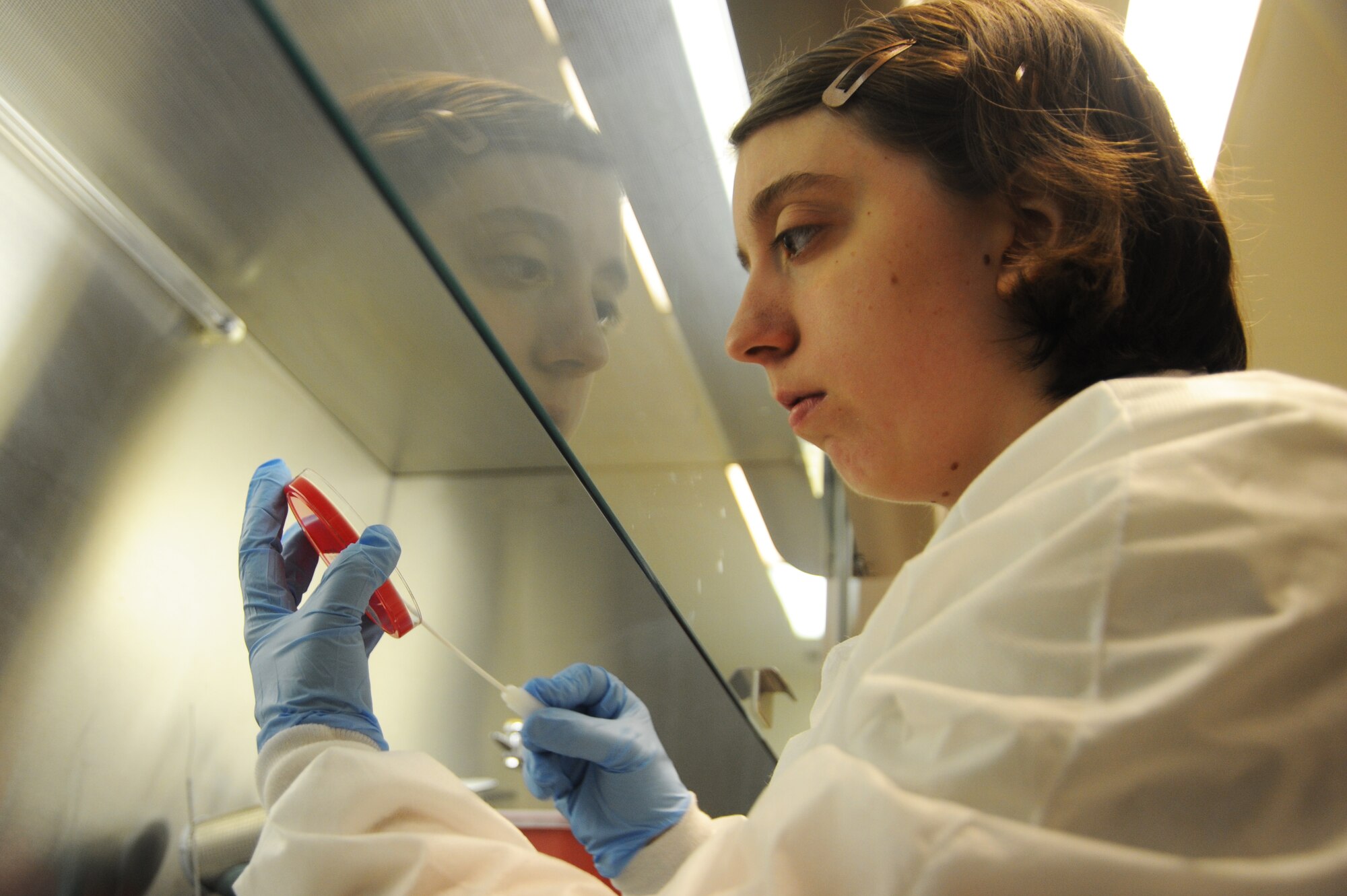Senior Airman Kristal Kiser scrapes the surface of a culture in the lab. Cultures are viewed and examined to detect bacteria that may cause infections, such as strep throat. Kiser is a 375th Medical Support Squadron laboratory technician. (U.S. Air Force photo/Airman 1st Class Megan Friedl)