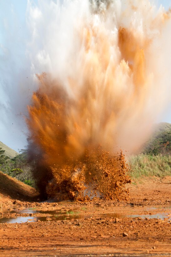 A demolition charge detonates during an explosive ordnance disposal course Feb. 27 in the Central Training Area. The demonstration gave Marines with Company B, Headquarters and Service Battalion, an opportunity to train outside of their primary military occupational specialty. Explosive charges can cut steel, demolish buildings and dispose of ordnance. Company B is with H&S Bn., Marine Corps Base Camp Smedley D. Butler, Marine Corps Installations Pacific.
