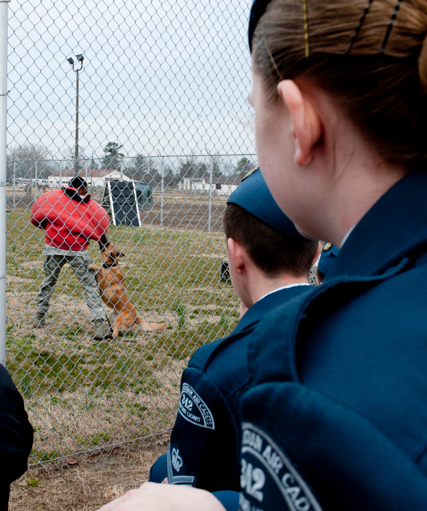 Royal Canadian Air Cadets from the 342nd Bedford Lions Squadron watch a U.S. military working dog demonstration at the 633rd Security Force Squadron during a tour of Langley Air Force Base, Va., March 12, 2014. The 342nd Bedford Lions Squadron cadets visited the 633rd Logistics Readiness Squadron, 633rd Security Forces Squadron, Shellbank Fitness Center and finished the visit with a meal at the Crossbow dining facility. (U.S. Air Force photo by Airman 1st Class R. Alex Durbin/Released) (This image was cropped to emphasize subject)