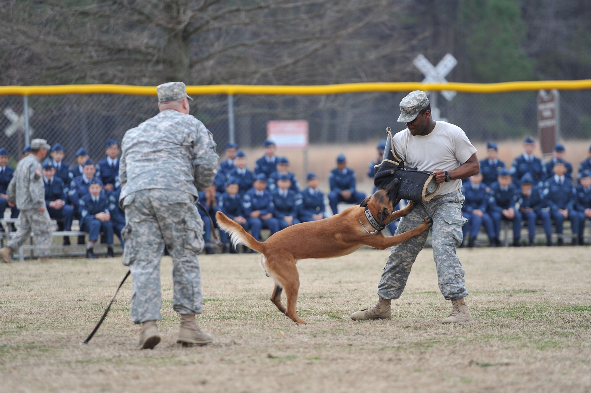 U.S. Army Staff Sgt. Jeffrey Michaud,  3rd Military Police Detachment kennel master, left, and Sgt. Clevaun Fluellen , 3rd MP Det. military working dog handler, right, conduct aggression training with MWD Uunion, a patrol explosives detector dog, during a demonstration for Canadian Air Cadets from the 180th Mosquito Squadron at Fort Eustis, Va., March 12, 2014. In addition to the aggression demonstration, the more than 50 cadets watched obedience training, search training and used patrol car equipment.  (U.S. Air Force photo by Staff Sgt. Katie Gar Ward/Released)