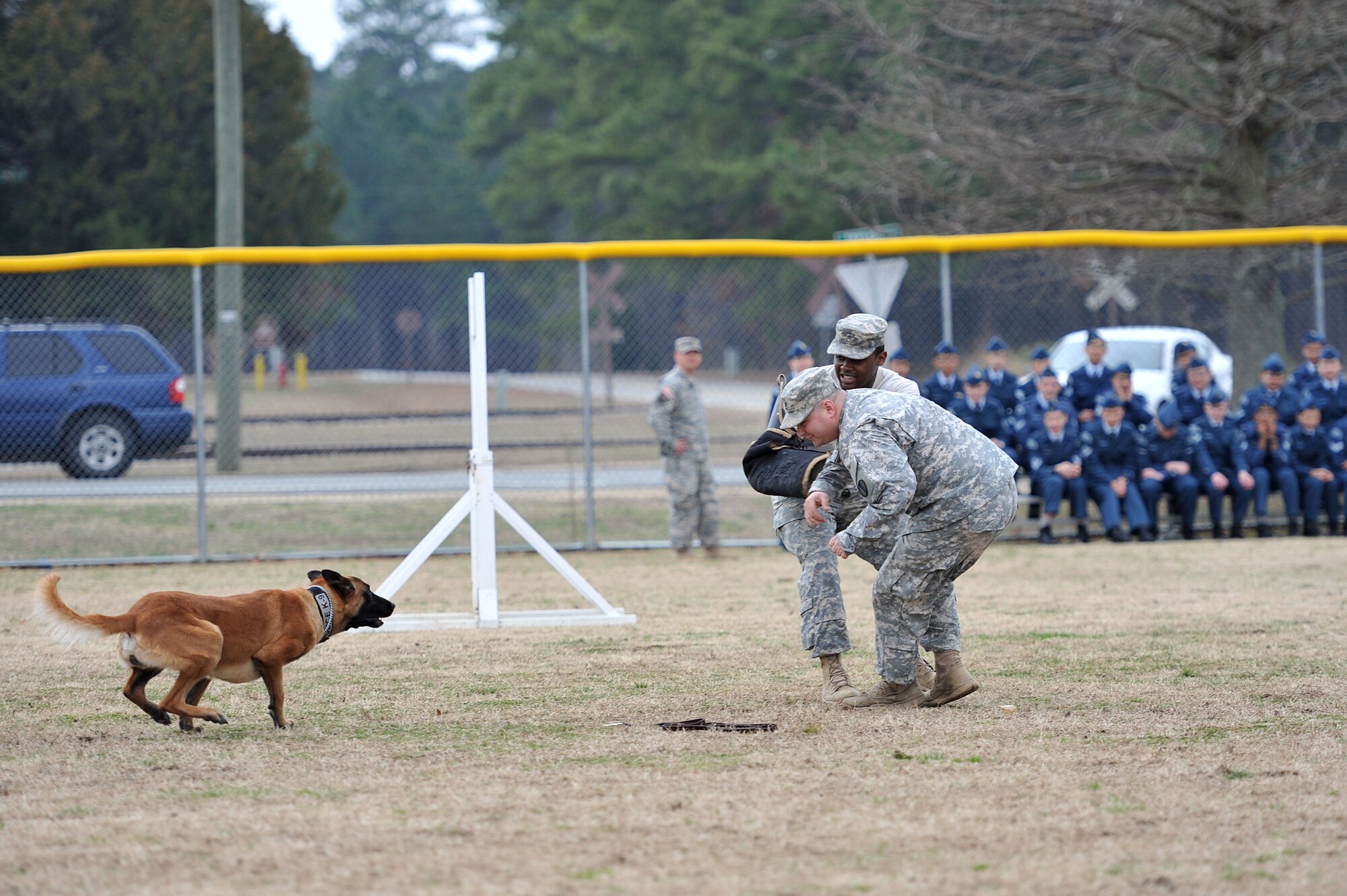U.S. Army Staff Sgt. Jeffrey Michaud, 3rd Military Police Detachment kennel master, left and front, and Sgt. Clevaun Fluellen, 3rd MP Det. military working dog handler, right and back, conduct aggression training with MWD Uunion, a patrol explosive detector dog, during a demonstration for Canadian Air Cadets from the 180th Mosquito Squadron at Fort Eustis, Va., March 12, 2014. In addition to the aggression demonstration, the more than 50 cadets watched obedience training search training, and used patrol car equipment.  (U.S. Air Force photo by Staff Sgt. Katie Gar Ward/Released)