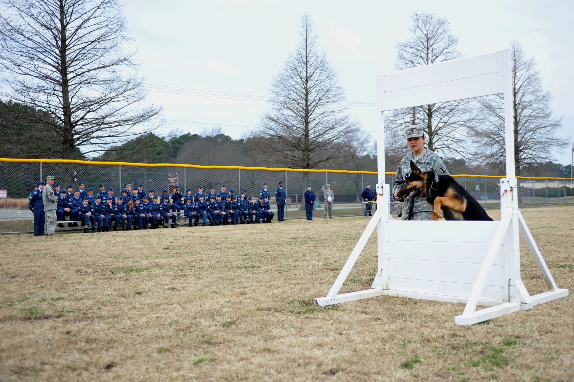 U.S. Army Spc. Roxanne Cavezuela,  3rd Military Police Detachment military working dog handler, conducts obedience training with her dog, MWD Chek, a patrol explosives detector dog, during a demonstration for Canadian Air Cadets from the 180th Mosquito Squadron at Fort Eustis, Va., March 12, 2014. The obstacles used in the demonstration mimic environments the dogs may encounter in real life situations, such as jumping through a window. (U.S. Air Force photo by Staff Sgt. Katie Gar Ward/Released)


