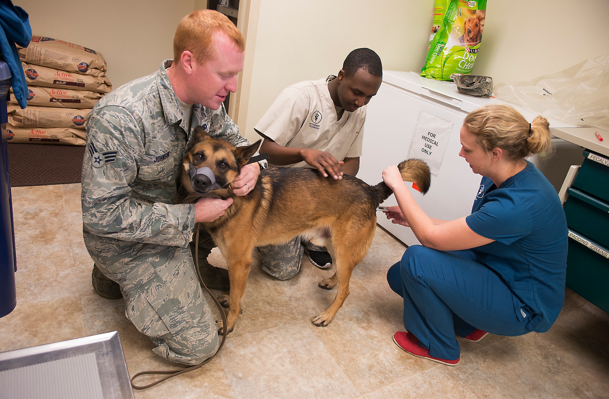 U.S. Air Force Senior Airman Brandon Johnson, 822nd Base Defense Squadron Military Working Dog handler (left), holds MWD Diyi still as U.S. Army Spc. Traveon Holman, 23d Aerospace Medicine Squadron acting NCO in charge of veterinary clinic (center), and Capt. Megan Branham, 23d Aerospace Medicine Squadron officer in charge of veterinary clinic, take Diyi’s temperature at Moody Air Force Base, Ga., March 14, 2014. Following a deployment to Afghanistan in 2012, Diyi exhibited aggression towards Johnson and other symptoms resulting in a diagnosis of canine post traumatic stress disorder. (U.S. Air Force photo by Senior Airman Tiffany M. Grigg/Released) 