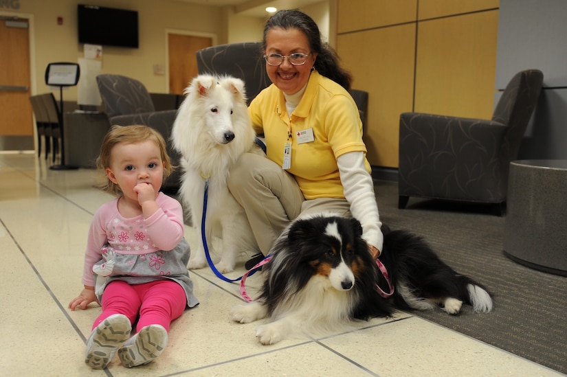 From left, Briella Cose visits with Lothair and Molly, American Red Cross certified therapy dogs, and their owner Melanie Paul, an American Red Cross volunteer at Langley Air Force Base, Va., Feb. 14, 2014. Paul has been working with therapy dogs for 14 years and currently owns three certified therapy dogs. (U.S. Air Force photo by Senior Airman Brittany Paerschke-O’Brien/Released)