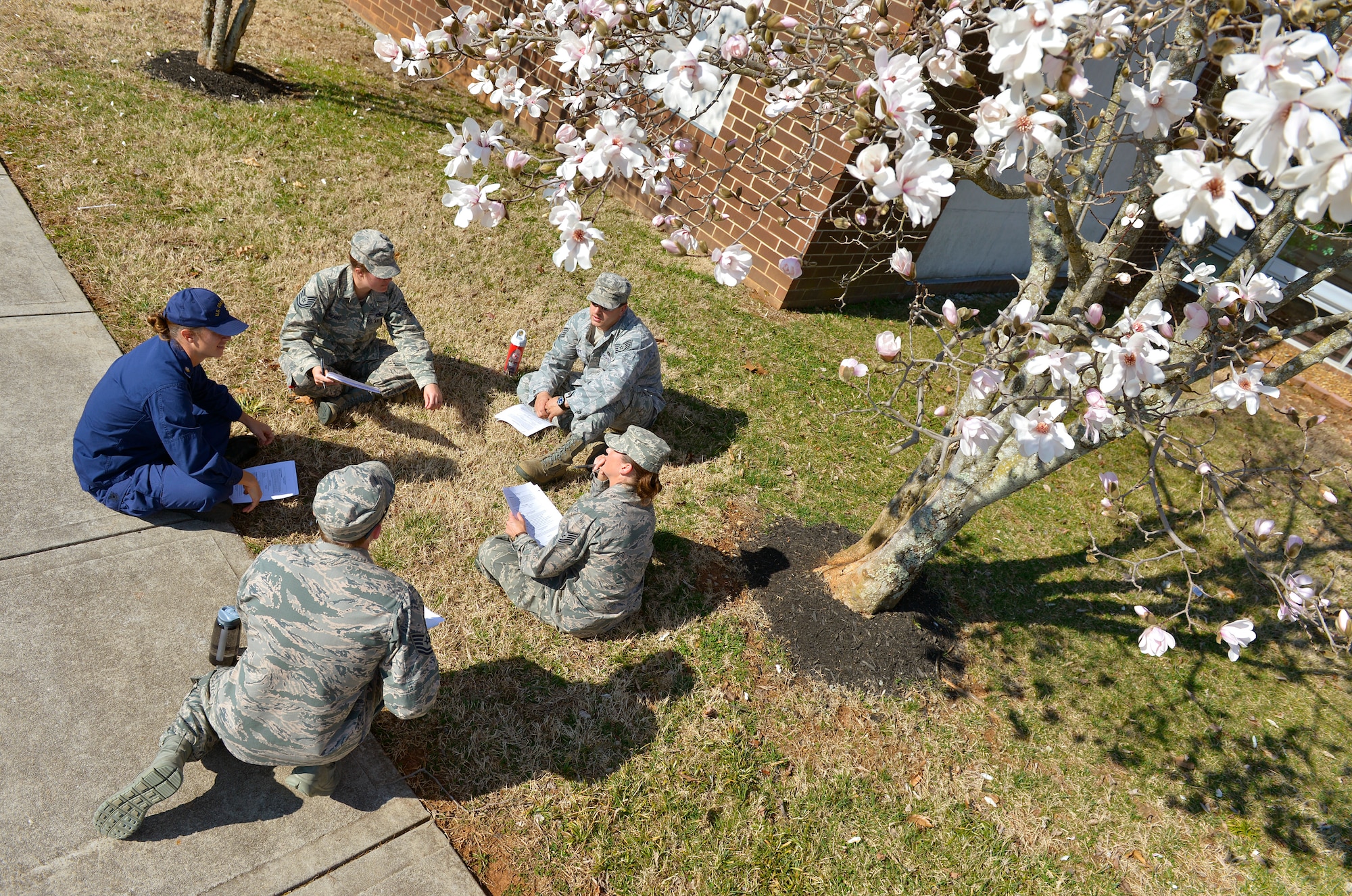 MCGHEE TYSON AIR NATIONAL GUARD BASE, Tenn. - U.S. Air Force Noncommissioned Officer Academy students study under the early season tree blossoms here March 11, 2014 at the I.G. Brown Training and Education Center campus. (U.S. Air National Guard photo by Master Sgt. Kurt Skoglund/Released)