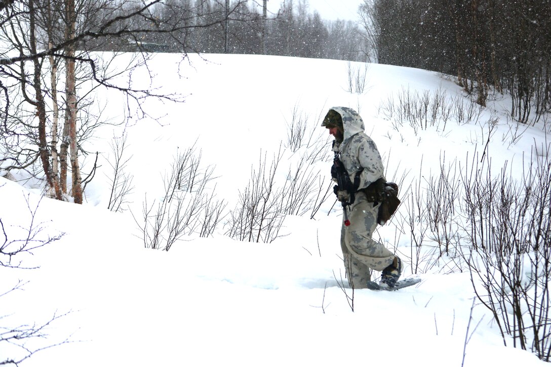 Marines from 2nd Battalion, 2nd Marine Regiment conduct a foot patrol through the snow-covered fields of northern Norway during Cold Response 14. Cold Response 14 brings together nearly 16,000 troops from 16 countries to train high-intensity operations in the unique climate above the Arctic Circle and strengthen the alliance of partners and their commitment to global security in any clime and place.