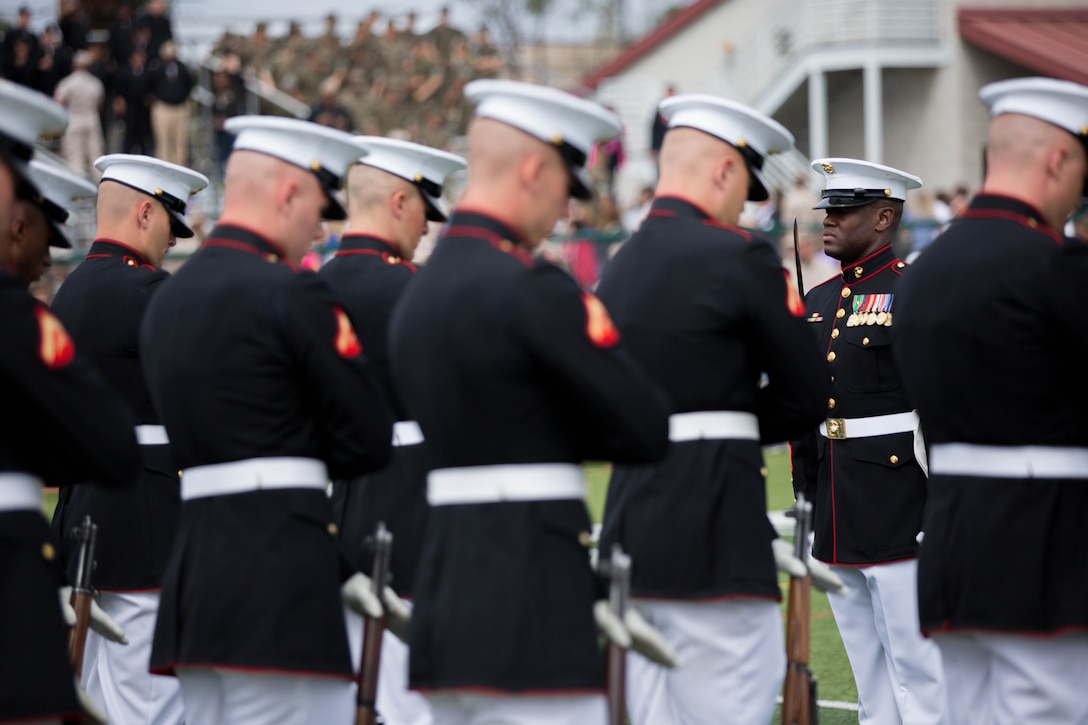 Список муштра образец