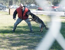 Staff Sgt. Sean Baker, 628th Security Forces Squadron K-9 dog handler, acts as a decoy for Military Working Dog Gaga/T161 , in a demonstration for the Honorary Commanders March 13, 2014, during their orientation tour of JB Charleston-Air Base, S.C. The Joint Base Charleston Honorary Commanders Program encourages an exchange of ideas, experiences and friendship between key members of the local civilian community and the Charleston military community. The program provides a unique opportunity for members of the Charleston area to shadow commanders of Air Force wings and groups, as well as Navy and tenant units at Joint Base Charleston. (U.S. Air Force photo/Senior Airman Ashlee Galloway)