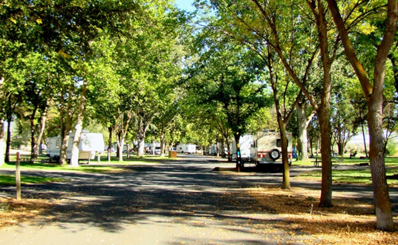 Shows the campsite area where a volunteer campground host is needed at John Day Lock and Dam's Plymouth Park.