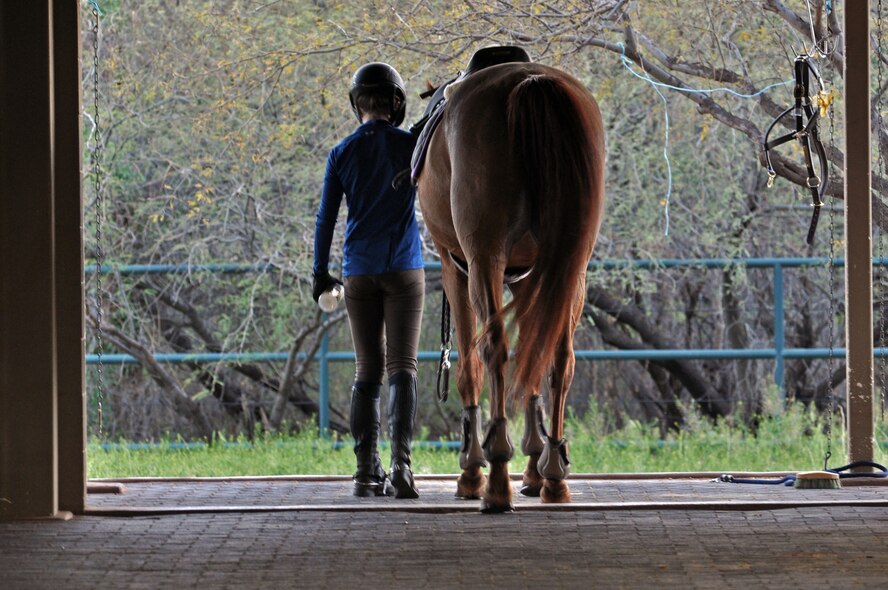 Keegan Rawls leads her horse, Habanera, into the barn to remove her saddle after their ride at Ashbrook Farm in Tucson, Ariz., March 10, 2014. Keegan has been riding for the past eight years and competes in jumping shows throughout the state.  She is the daughter of Col. Trey Rawls, 355th Fighter Wing vice commander, and his wife Scotta. (U.S. Air Force photo/Capt. Susan Harrington/Released)