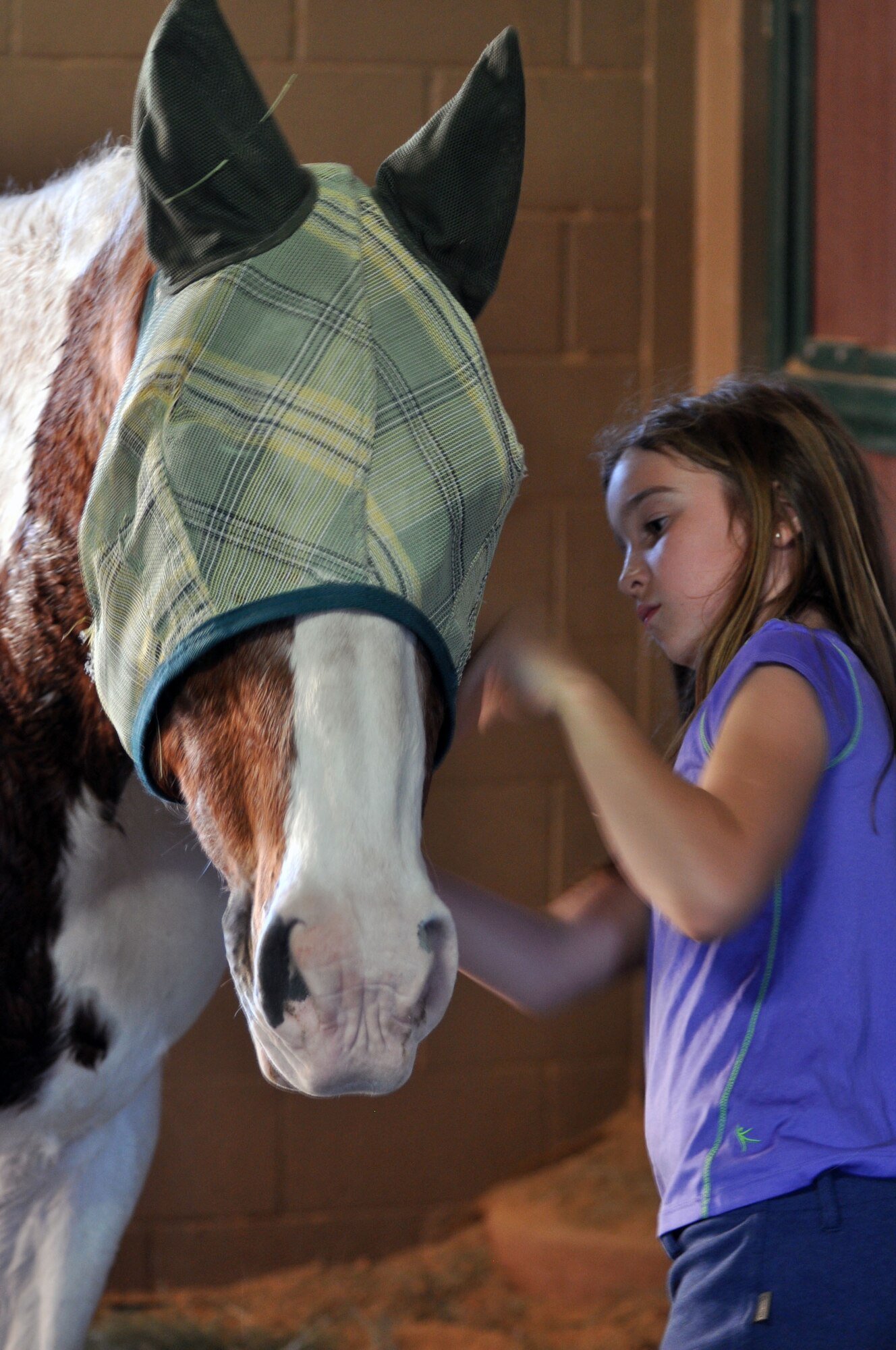 Lauren Pickett places a fly mask on the horse she rides, Scotch, after her lesson is complete at Ashbrook Farm in Tucson, Ariz., March 10, 2014. Lauren started riding when she was five years old while her father was stationed at Moody Air Force Base, Ga., and has been riding now for more than three years. She is the eight-year-old daughter of Maj. Michael Pickett, a pilot with the 354th Fighter Squadron. (U.S. Air Force photo/Capt. Susan Harrington/Released)
