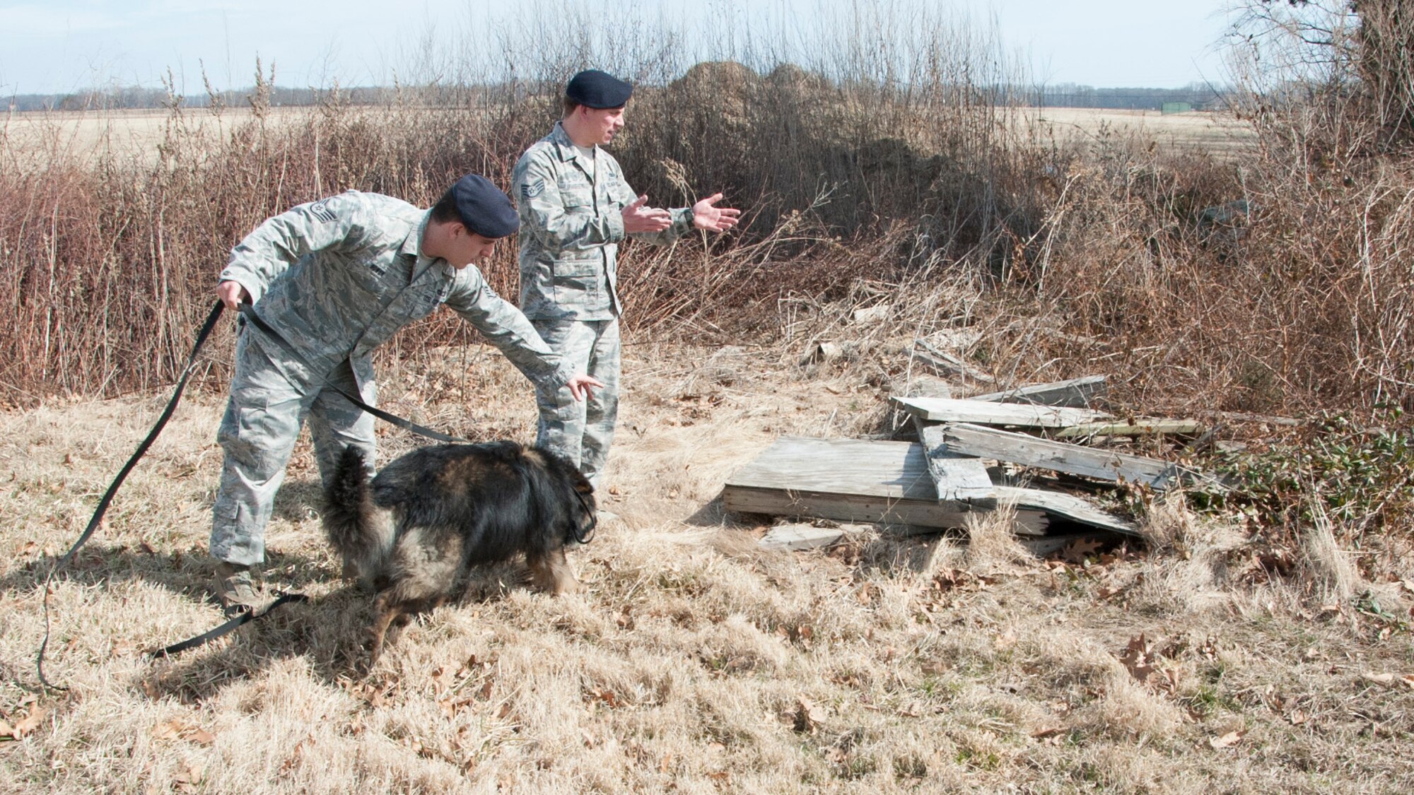 Staff Sgt. Andrew Bowmen, 436th SFS military working dog handler, and his military working dog “Terry” learn new search techniques from Staff Sgt. Jason Spangenberg, 436th Security Forces Squadron military working dog handler, March, 11, 2013, at Dover Air Force Base, Del. Spangenberg and his dog “Rico” discovered more than 100 pounds of explosives during their recent deployment to Afghanistan. (U.S. Air Force photo/Senior Airman Jared Duhon)