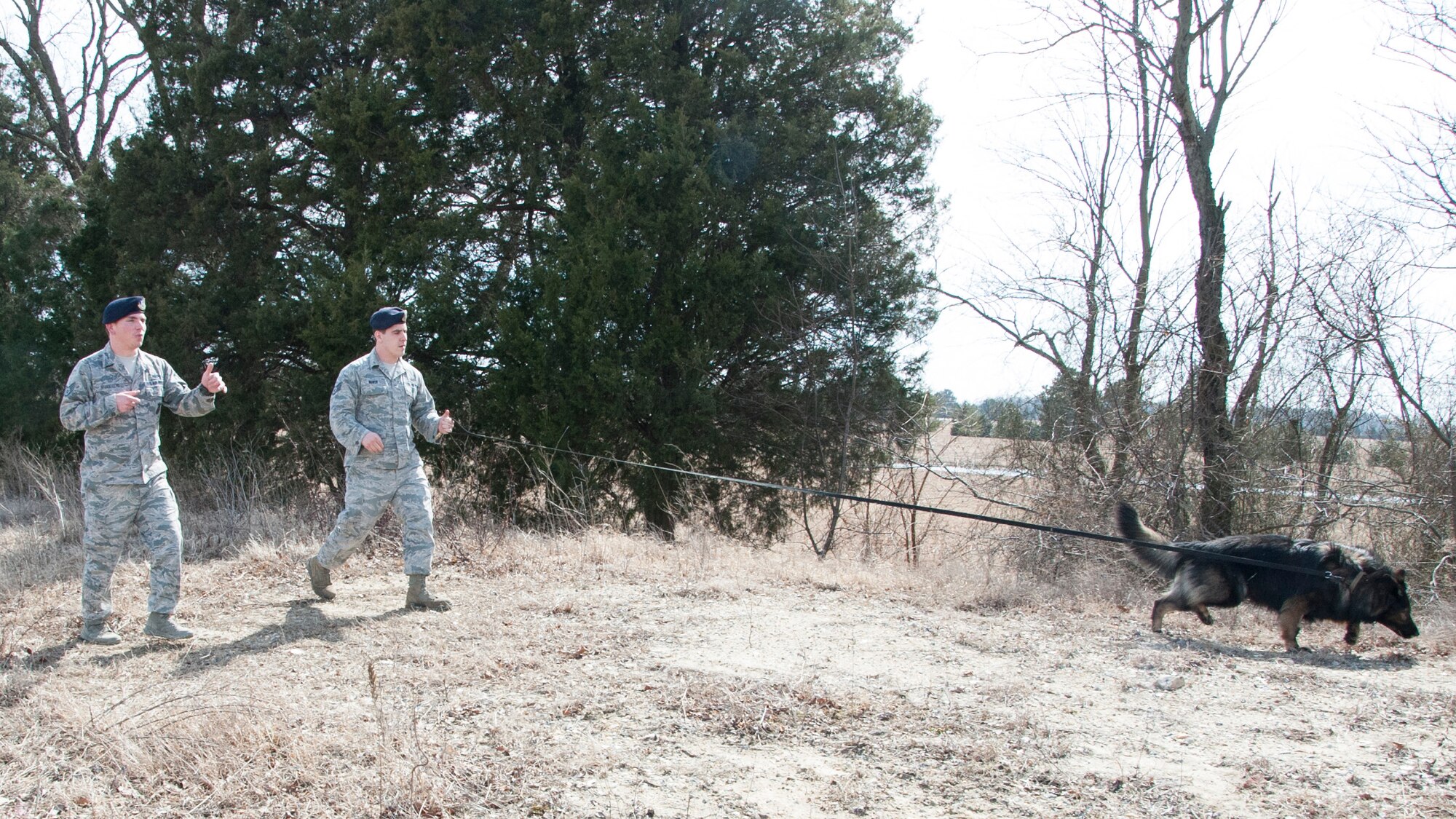 Staff Sgt. Jason Spangenberg, 436th Security Forces Squadron military working dog handler, discusses training techniques with Staff Sgt. Andrew Bowman, 436th SFS military working dog handler, and his dog Terry March, 11, 2013, at Dover Air Force Base, Del. Spangenberg has worked as a trainer since suffering a shoulder injury on his deployment. (U.S. Air Force photo/Senior Airman Jared Duhon)
