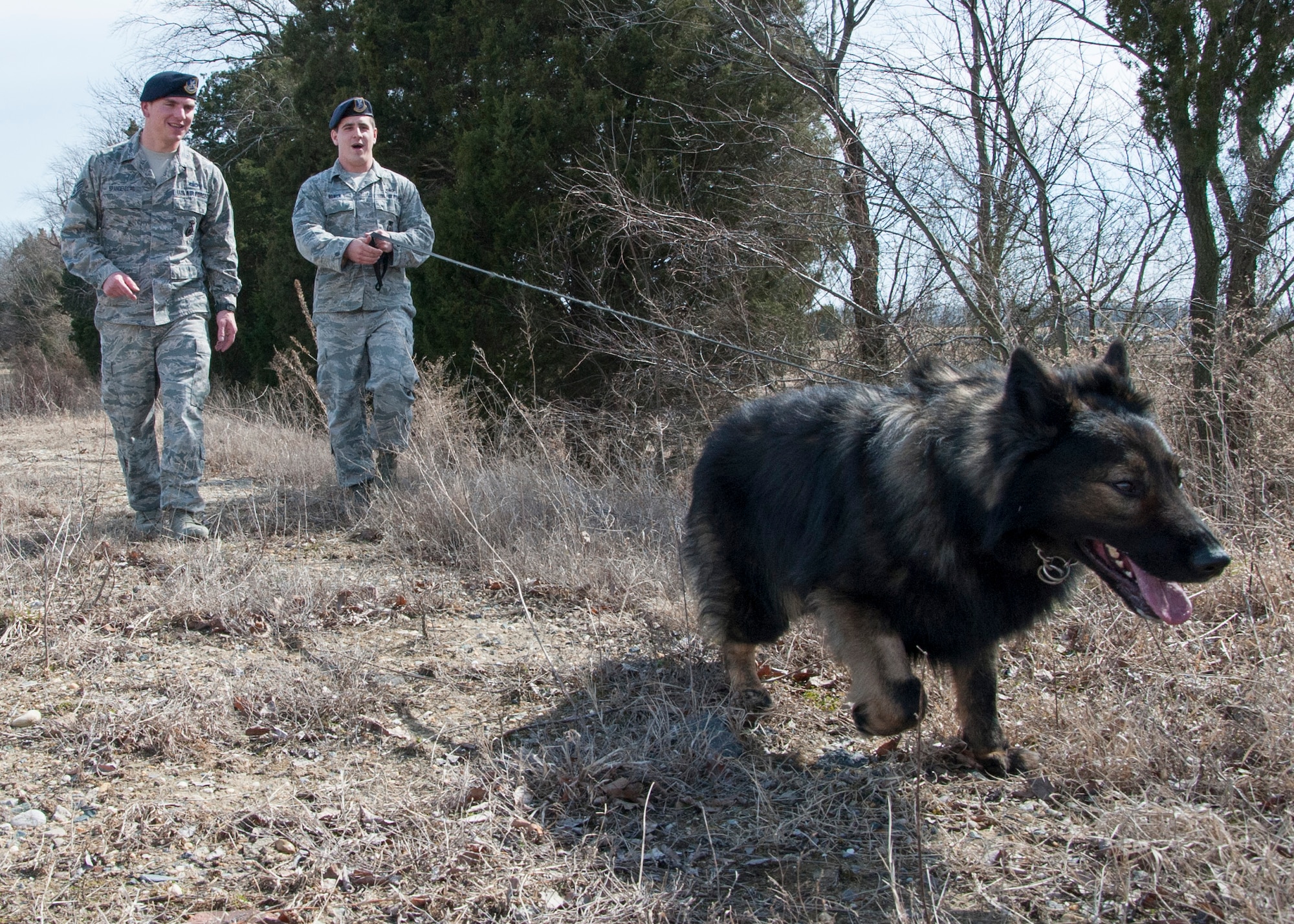 Staff Sgt. Jason Spangenberg, 436th Security Forces Squadron military working dog handler, walks with Staff Sgt. Andrew Bowman, 436th SFS military working dog handler, and his military working dog “Terry” March, 11, 2013, at Dover Air Force Base, Del. Spangenberg recently returned from deployment to Afghanistan and was awarded the Bronze Star Medal. (U.S. Air Force photo/Senior Airman Jared Duhon)
