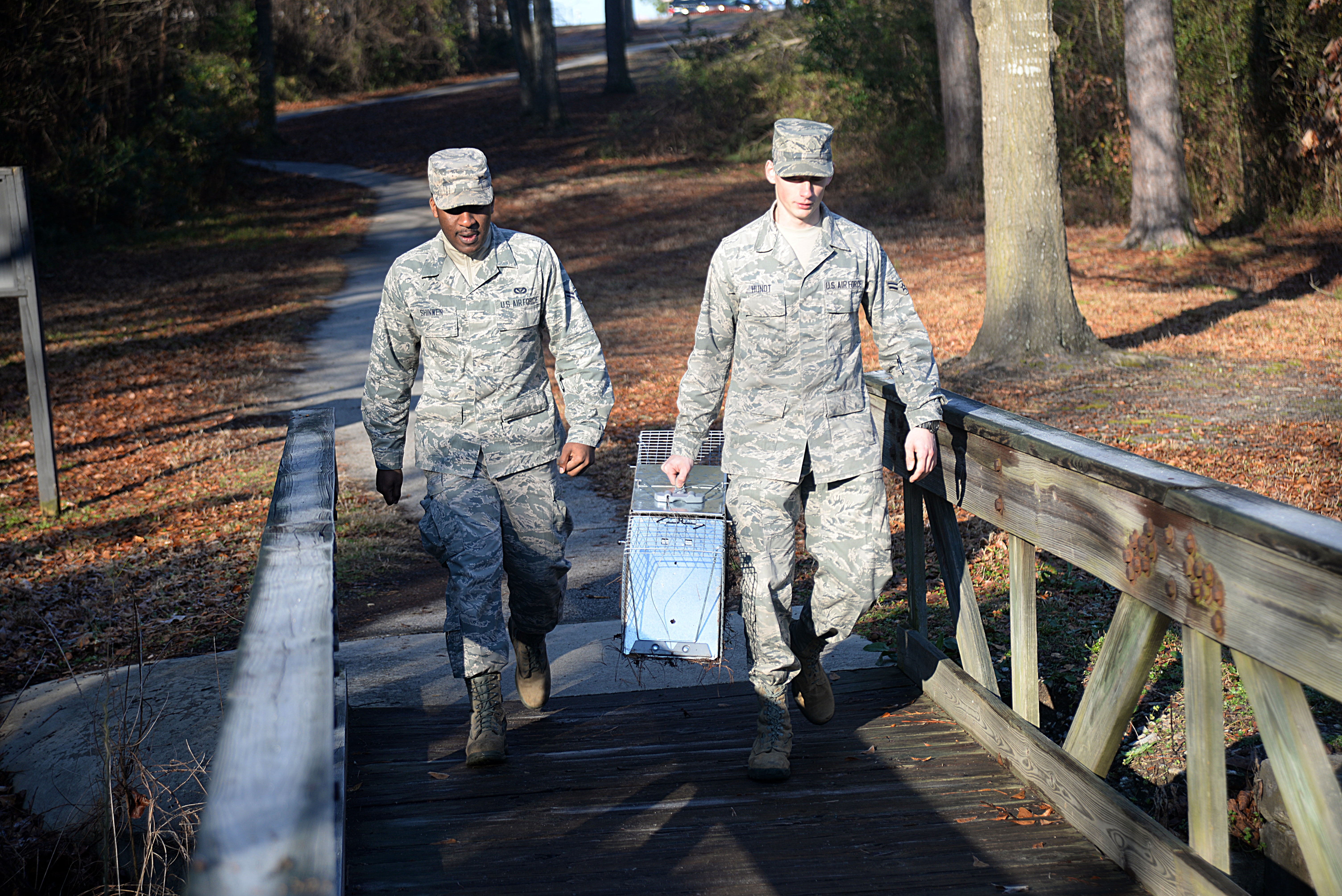 De Bugging Mission Airmen Rid Shaw Of Rodents Shaw Air Force Base Display