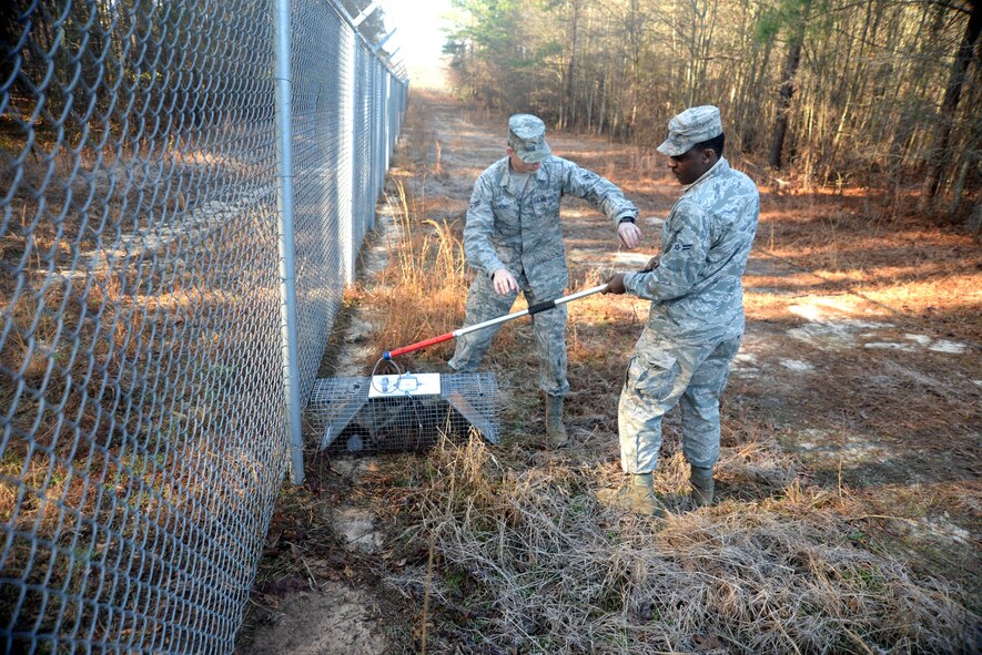 U.S. Air Force Airman 1st Class Colin Hundt, 20th Civil Engineer Squadron pest management journeyman, and Airman 1st Class Valerie Shinwen, 20th CES pest management specialist, release a captured raccoon off Shaw Air Force Base, Feb. 27, 2014. Most animals captured by pest management are released off base. (U.S. Air Force photo by Airman 1st Class Michael A. Cossaboom/Released)