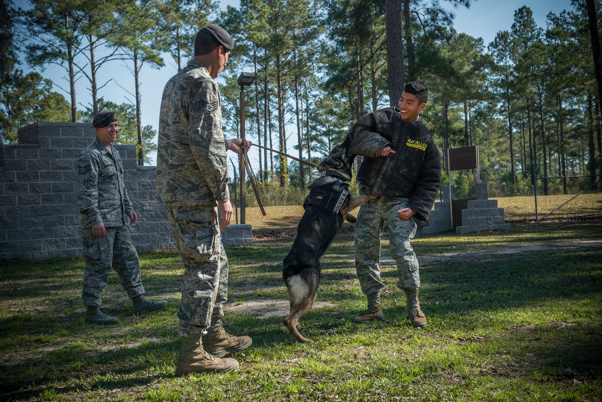 Members of the 23d Security Forces Squadron stand guard as Hill, 23d SFS military working dog, bites Donald Nguyen, U.S. Air Force Reserve Officer Training Corps cadet, during a tour at Moody Air Force Base, Ga., March 14, 2014. During the tour, Nguyen and other cadets from the University of Florida gained information on various Air Force specialty codes. (U.S. Air Force photo by Senior Airman Douglas Ellis/Released)
