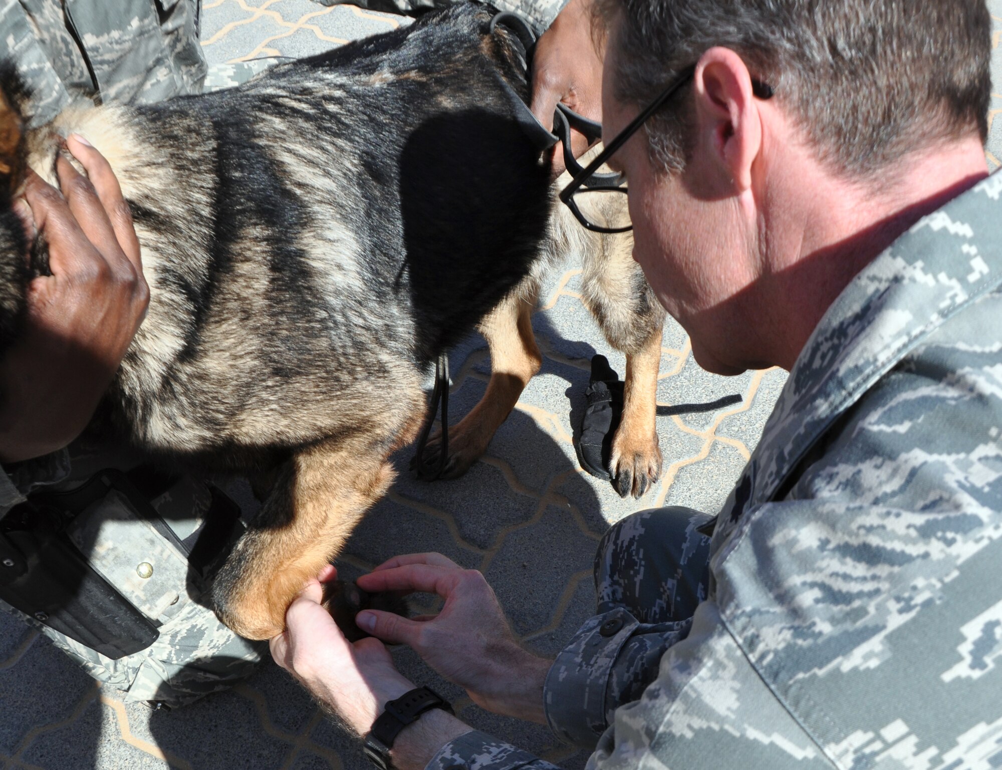Air Force Lt. Col. Mark Lehman, 380th Expeditionary Medical Group Preventive Health flight commander, checks the paws of one of the military working dogs deployed to the 380th Expeditionary Security Forces Squadron during a visit March 17, 2014. (U.S. Air Force photo by Master Sgt. April Lapetoda/Released)