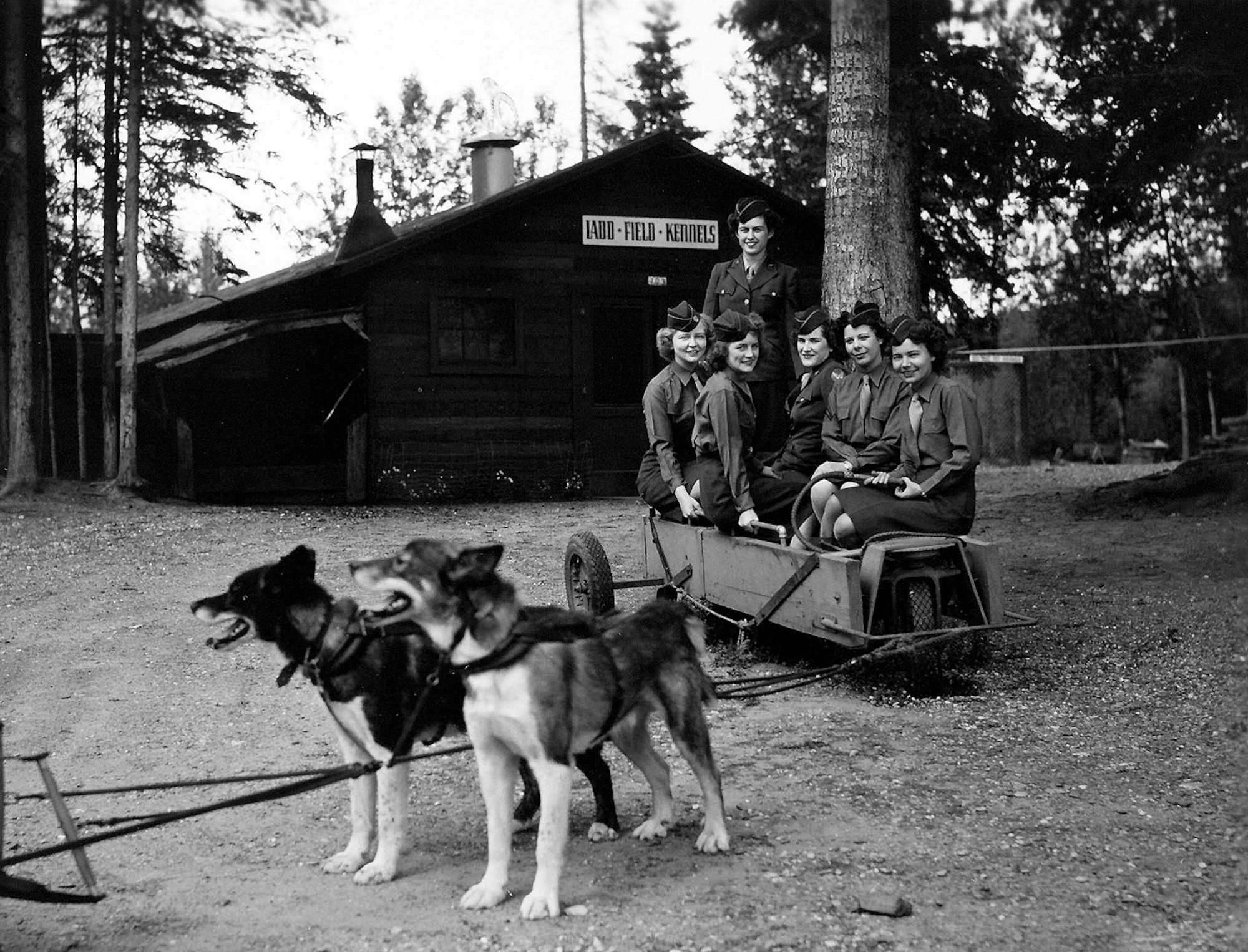 Women's Army Corps members pose for a photo at the Ladd Field kennels circa 1945. (Photo courtesy of Fort Wainwright archives)