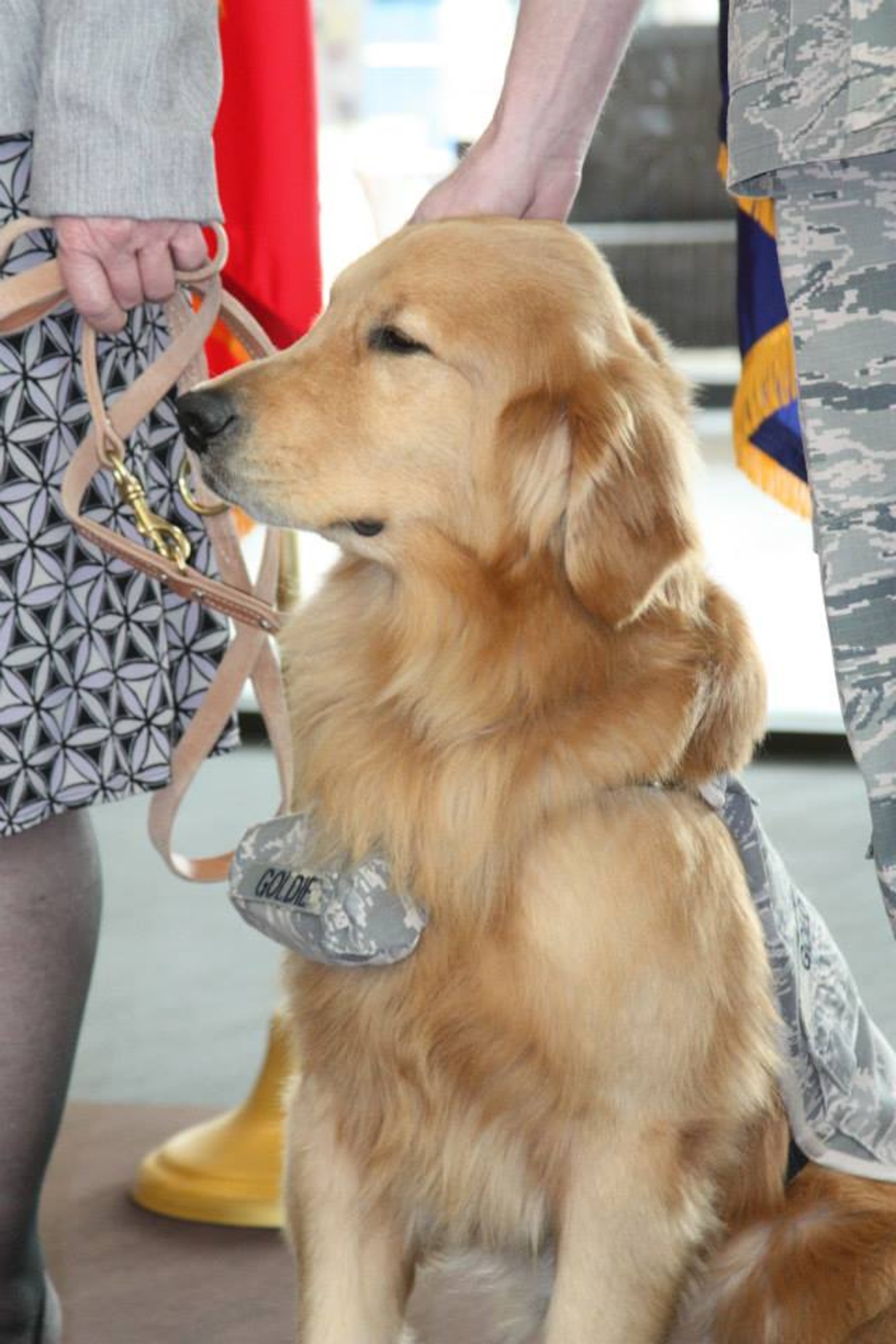 Chief Master Sgt. of the Air Force James A. Cody, the highest ranking enlisted member in the U.S. Air Force, pats Goldie, held by Patty Barry, coordinator of the facility dog program at Walter Reed Bethesda, before the Golden Retriever’s commission as a second lieutenant by Air Force Chief of Staff Gen. Mark A. Welsh III (left) on March 12 at Walter Reed National Military Medical Center. (Photo by Bernard S. Little)