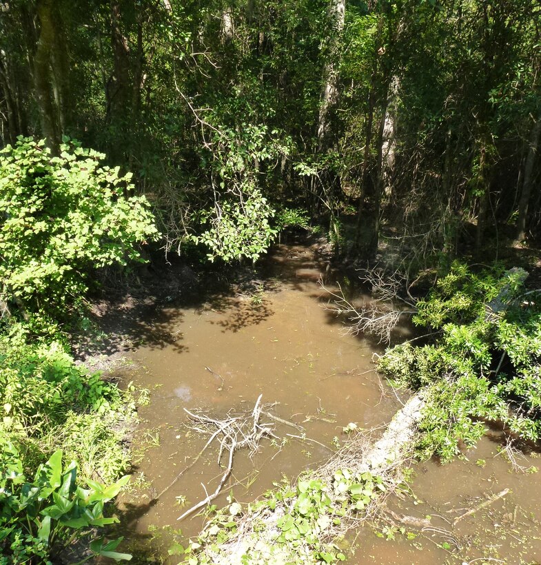 Polk Swamp falls under the Continuing Authorities Program. The area is clogged with grass and downed trees, making it hard for natural water flow and processes. The Charleston District is hoping to conduct a project like we did several years ago at Pocotaligo.