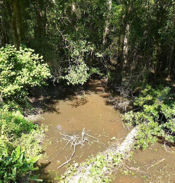 Polk Swamp falls under the Continuing Authorities Program. The area is clogged with grass and downed trees, making it hard for natural water flow and processes. The Charleston District is hoping to conduct a project like we did several years ago at Pocotaligo.