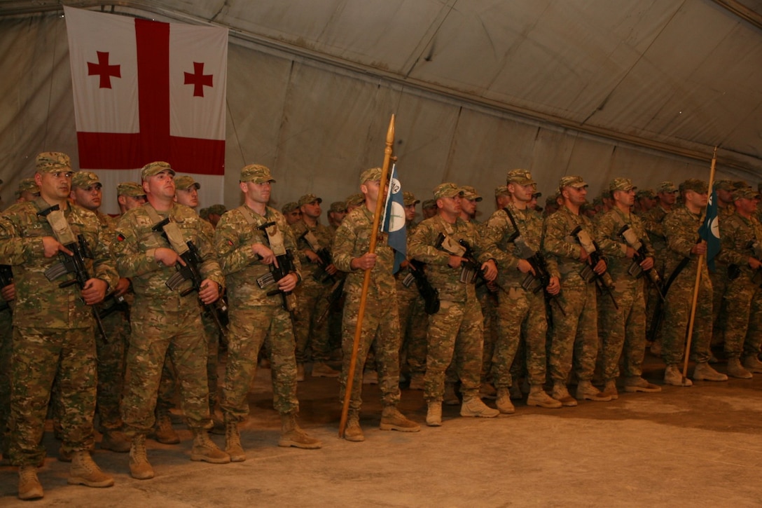 Georgian soldiers with the 31st Light Infantry Battalion patiently wait in formation for the arrival of their president, Giorgi Margvelashvili, aboard Camp Leatherneck, Helmand province, Afghanistan, March 15, 2014. This was the first time President Margvelashvili visited his troops in Afghanistan since taking office during November 2013.
