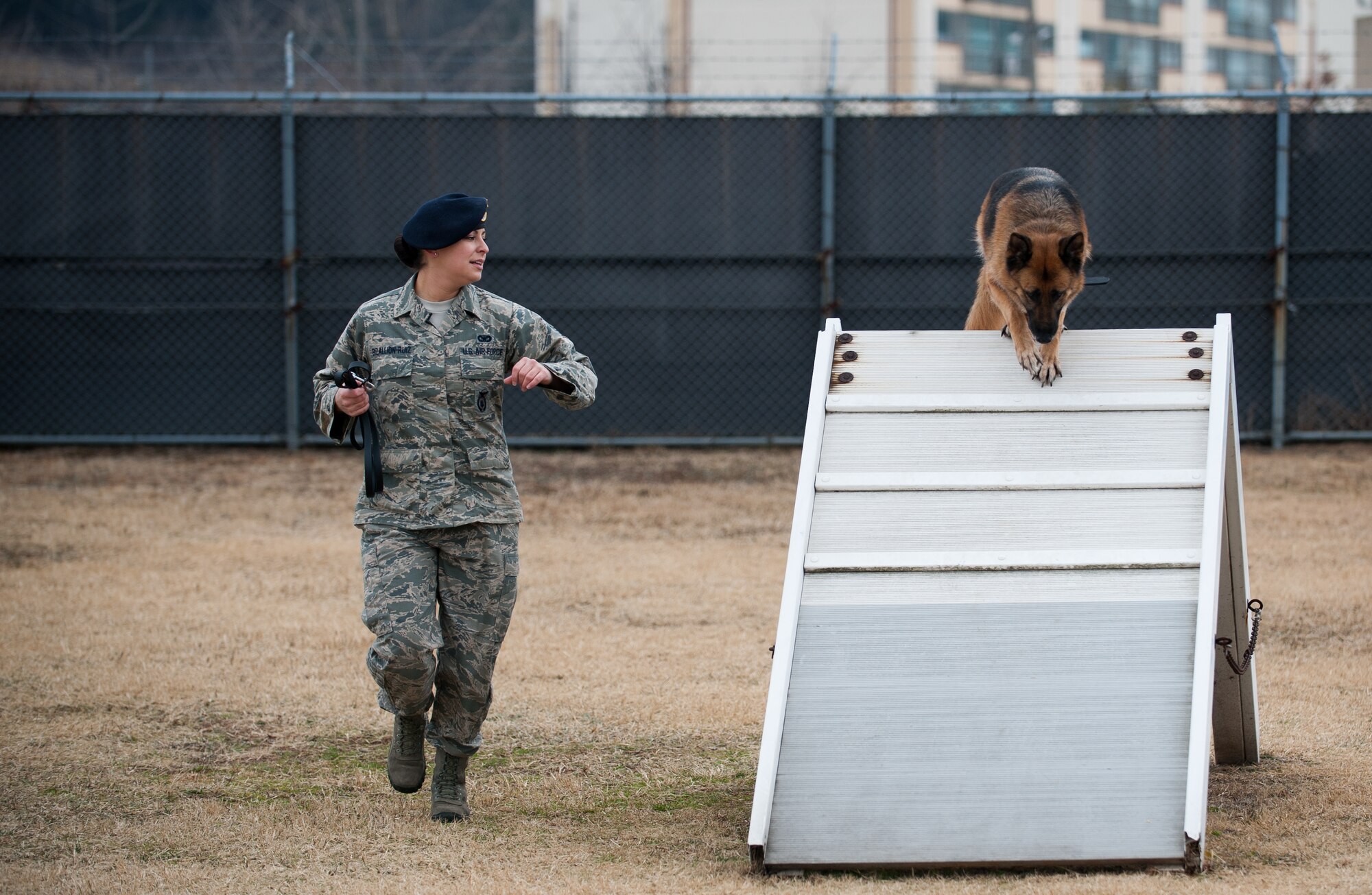 Staff Sgt. Monica Bizallion, 8th Security Forces Squadron military working dog handler, and Stella, 8th SFS military working dog, run through a confidence course at Kunsan Air Base, Republic of Korea, Mar. 13, 2014. Bizallion and Stella defend the base by detecting, deterring and neutralizing the threats that may appear. (U.S. Air Force photo by Staff Sgt. Clayton Lenhardt/Released)