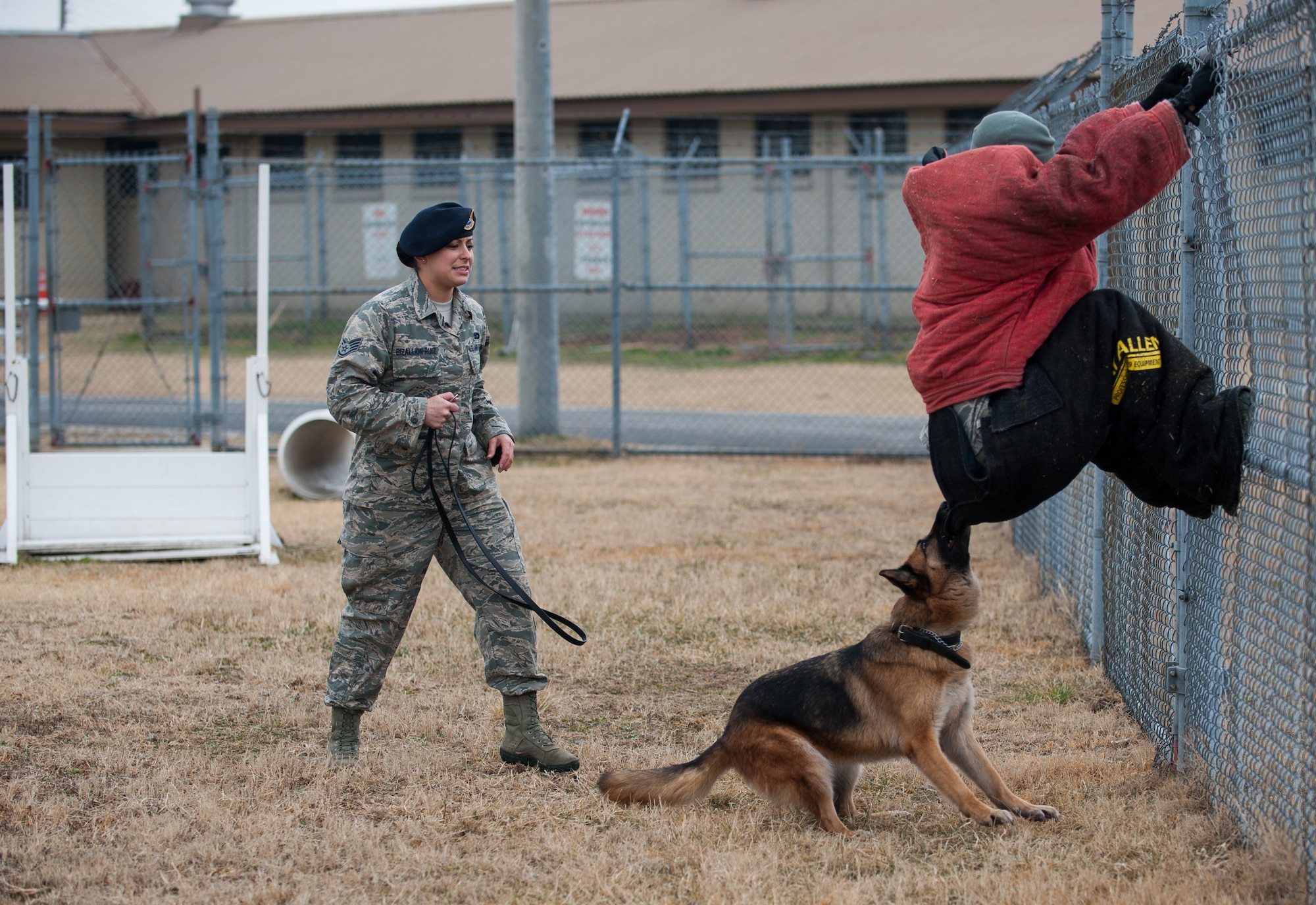Staff Sgt. Monica Bizallion, 8th Security Forces Squadron military working dog handler, and Stella, 8th SFS military working dog, conduct a training scenario with Staff Sgt. David Schultz, 8th SFS, at Kunsan Air Base, Republic of Korea, Mar. 13, 2014. Bizallion and Stella defend the base by detecting, deterring and neutralizing the threats that may appear. (U.S. Air Force photo by Staff Sgt. Clayton Lenhardt/Released)