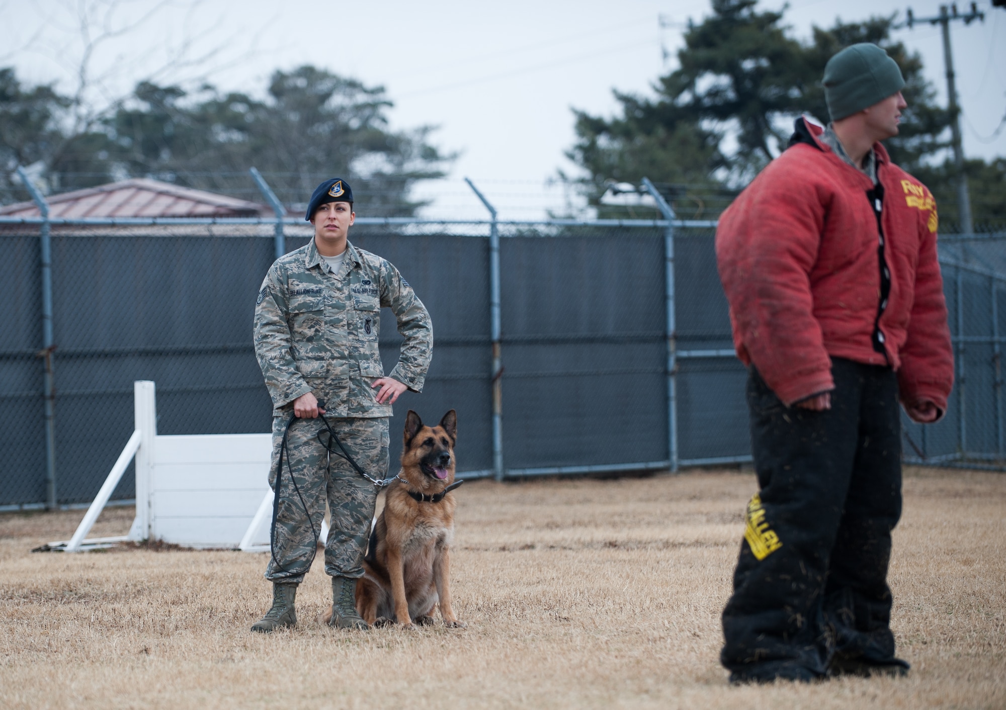 Staff Sgt. Monica Bizallion, 8th Security Forces Squadron military working dog handler, and Stella, 8th SFS military working dog, prepare to conduct a training scenario with Staff Sgt. David Schultz, 8th SFS, at Kunsan Air Base, Republic of Korea, Mar. 13, 2014. Bizallion and Stella defend the base by detecting, deterring and neutralizing the threats that may appear. (U.S. Air Force photo by Staff Sgt. Clayton Lenhardt/Released)