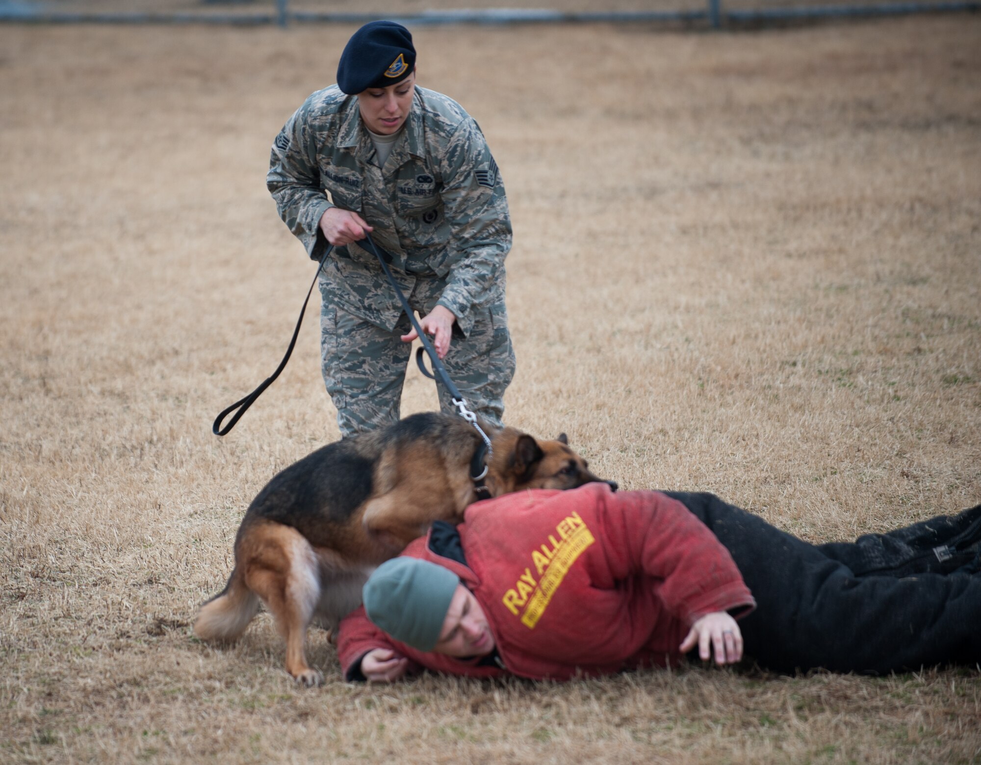 Staff Sgt. Monica Bizallion, 8th Security Forces Squadron military working dog handler, and Stella, 8th SFS military working dog, conduct a training scenario with Staff Sgt. David Schultz, 8th SFS, at Kunsan Air Base, Republic of Korea, March 13, 2014. Bizallion and Stella defend the base by detecting, deterring and neutralizing the threats that appear. (U.S. Air Force photo by Staff Sgt. Clayton Lenhardt/Released)