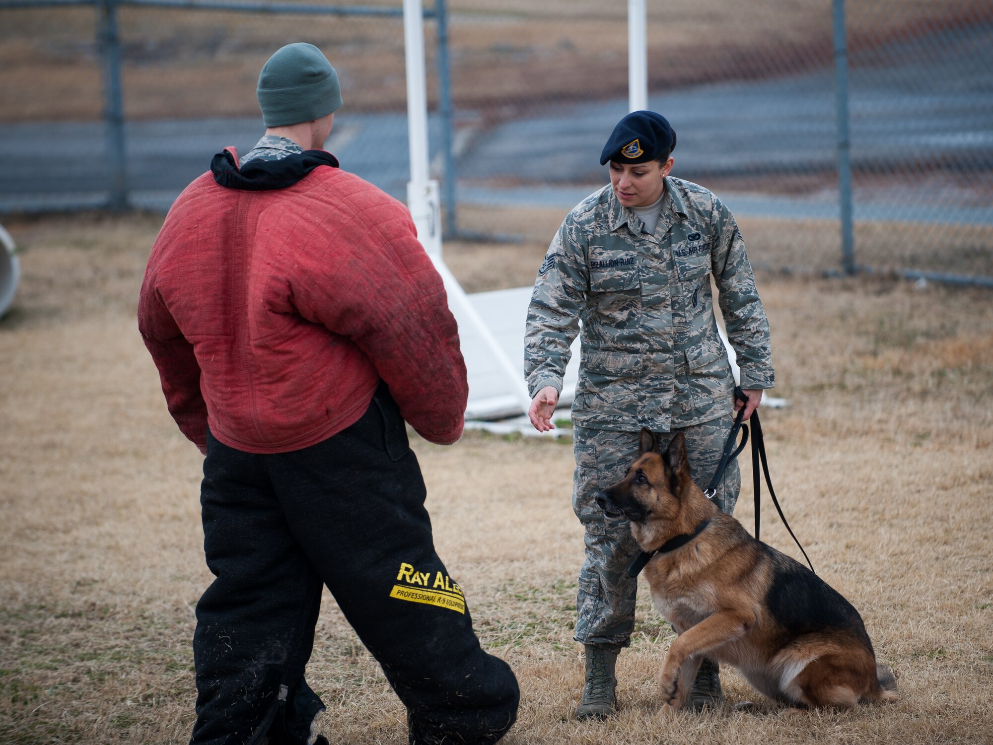Staff Sgt. Monica Bizallion, 8th Security Forces Squadron military working dog handler, and Stella, 8th SFS military working dog, conduct a training scenario with Staff Sgt. David Schultz, 8th SFS, at Kunsan Air Base, Republic of Korea, Mar. 13, 2014. Bizallion and Stella defend the base by detecting, deterring and neutralizing the threats that may appear. (U.S. Air Force photo by Staff Sgt. Clayton Lenhardt/Released)