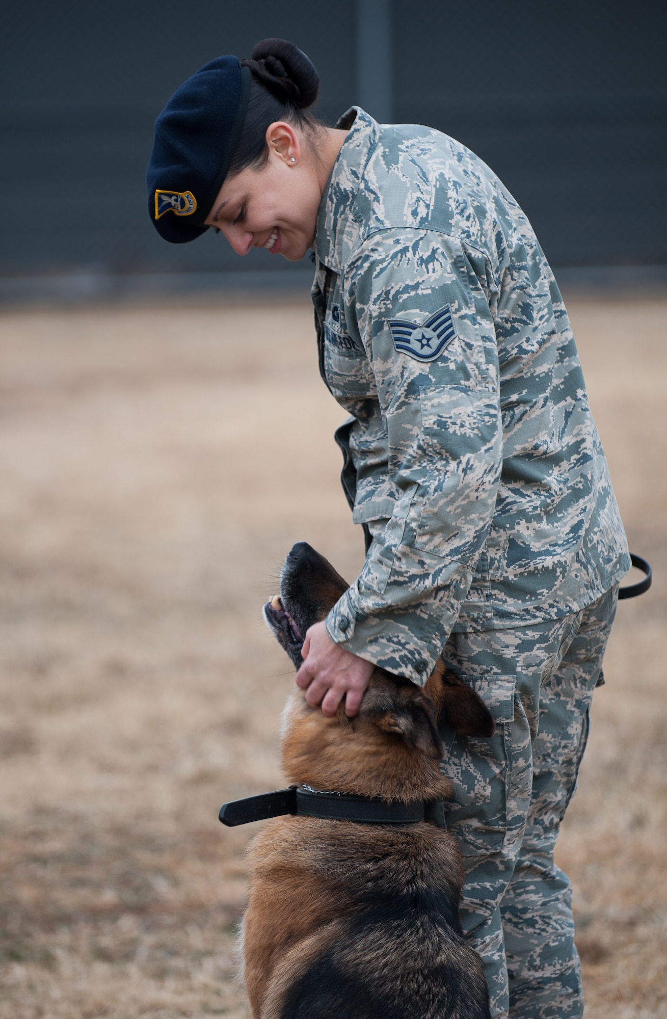 Staff Sgt. Monica Bizallion, 8th Security Forces Squadron military working dog handler,  praises Stella, 8th SFS military working dog, at Kunsan Air Base, Republic of Korea, Mar. 13, 2014. Bizallion and Stella defend the base by detecting, deterring and neutralizing the threats that may appear. (U.S. Air Force photo by Staff Sgt. Clayton Lenhardt/Released)