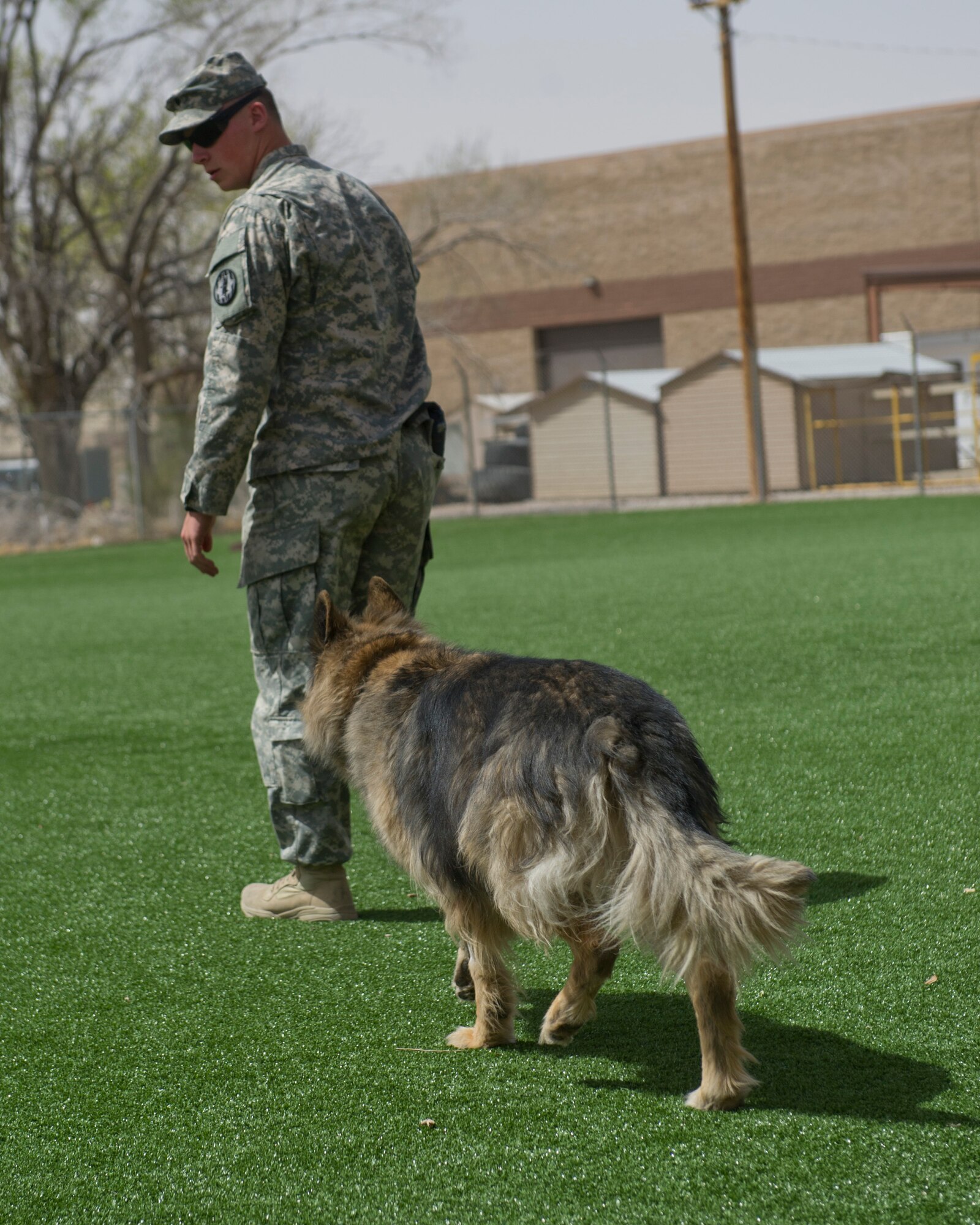 Specialist Brent Cheetham, a Fort Bliss Military Working Dog handler, and patrol narcotics dog Pitt prepare to run obstacles as a part of obedience training at the Military Working Dog facility at Holloman Air Force Base, N.M., March 19. Holloman’s 49th Security Forces Squadron Military Working Dog Unit hosted quarterly training with multiple law enforcement agencies from the surrounding areas including Border Patrol, New Mexico State University and Fort Bliss. The day consists of emergency veterinary procedure training, comparing tactics of entering a building and capturing a decoy, obedience training, and bomb search and detection. (U.S. Air Force photo by Airman 1st Class Chase Cannon/ Released)