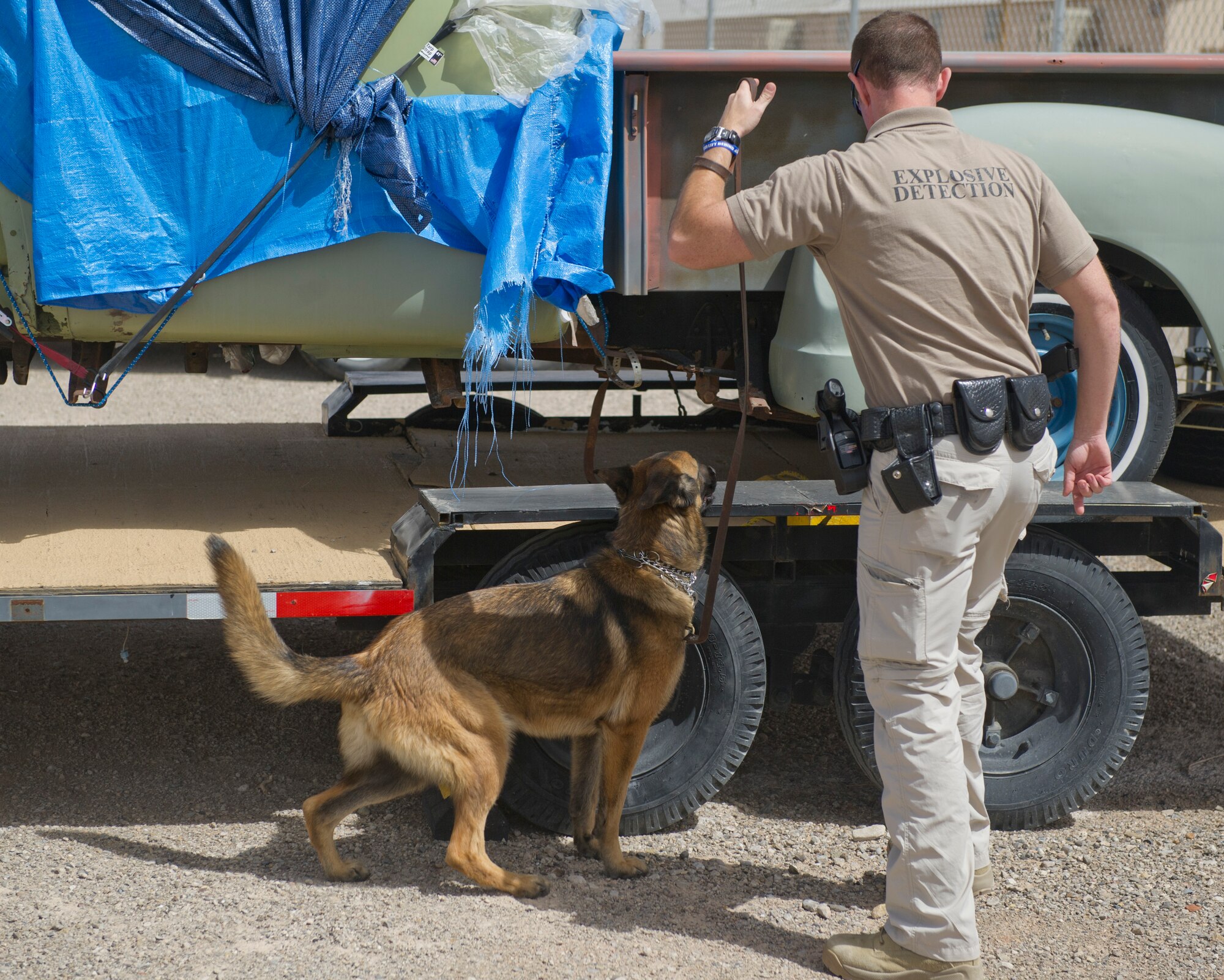 Craig Ryan, a sergeant at New Mexico State University Police department, and patrol K-9 Raven search for explosives as a part of a quarterly training exercise at Holloman Air Force Base, N.M., March 19. Holloman’s 49th Security Forces Squadron Military Working Dog Unit hosted quarterly training with multiple law enforcement agencies from the surrounding areas including Border Patrol, New Mexico State University and Fort Bliss. The day consists of emergency veterinary procedure training, comparing tactics of entering a building and capturing a decoy, obedience training, and bomb search and detection. (U.S. Air Force photo by Airman 1st Class Chase Cannon/ Released)