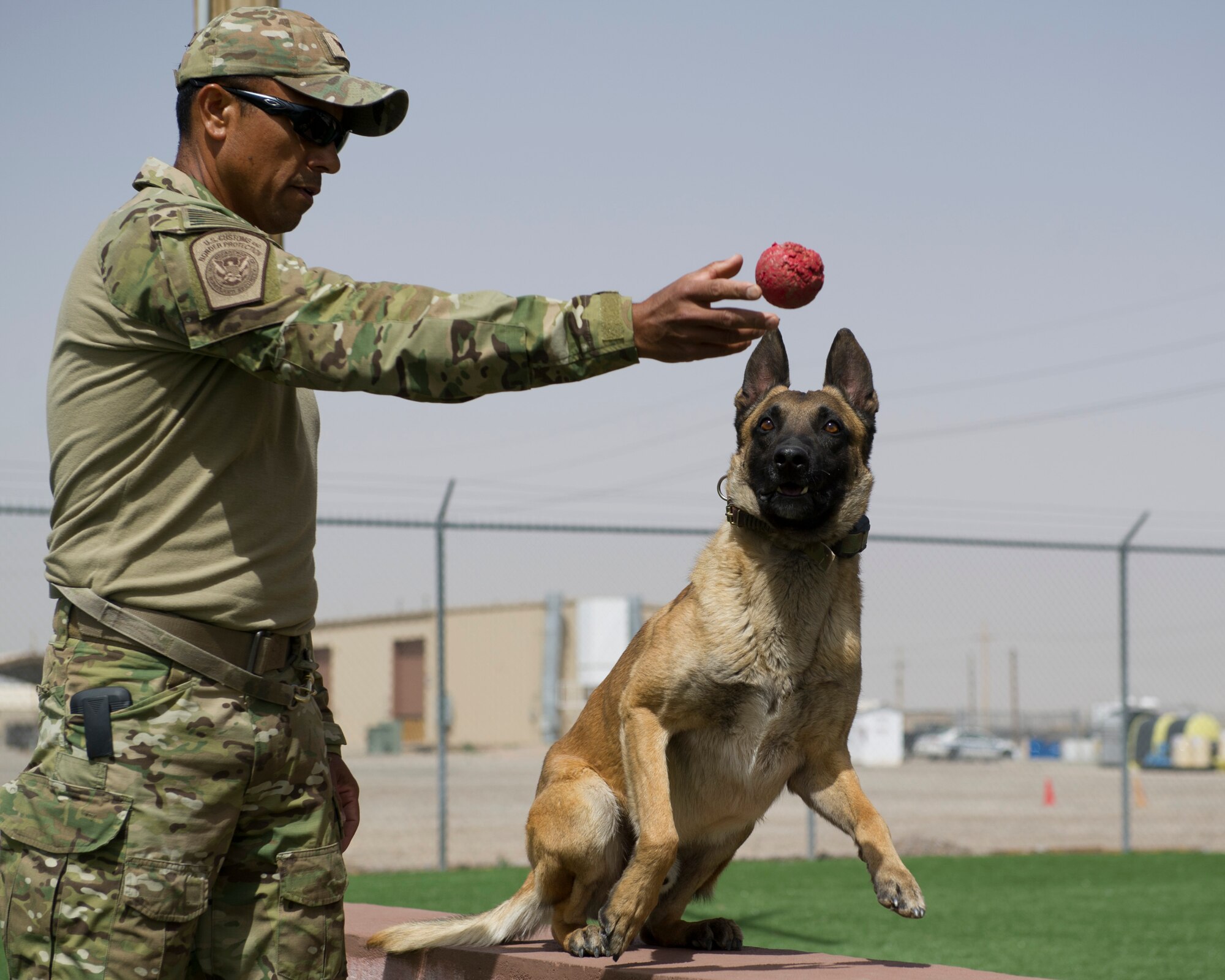 Chris Lopez, a Border Patrol agent, and patrol K-9 Joe run obstacles as a part of obedience training outside the Military Working Dog facility at Holloman Air Force Base, N.M., March 19. Holloman’s 49th Security Forces Squadron Military Working Dog Unit hosted quarterly training with multiple law enforcement agencies from the surrounding areas including Border Patrol, New Mexico State University and Fort Bliss. The day consists of emergency veterinary procedure training, comparing tactics of entering a building and capturing a decoy, obedience training, and bomb search and detection. (U.S. Air Force photo by Airman 1st Class Chase Cannon/ Released)