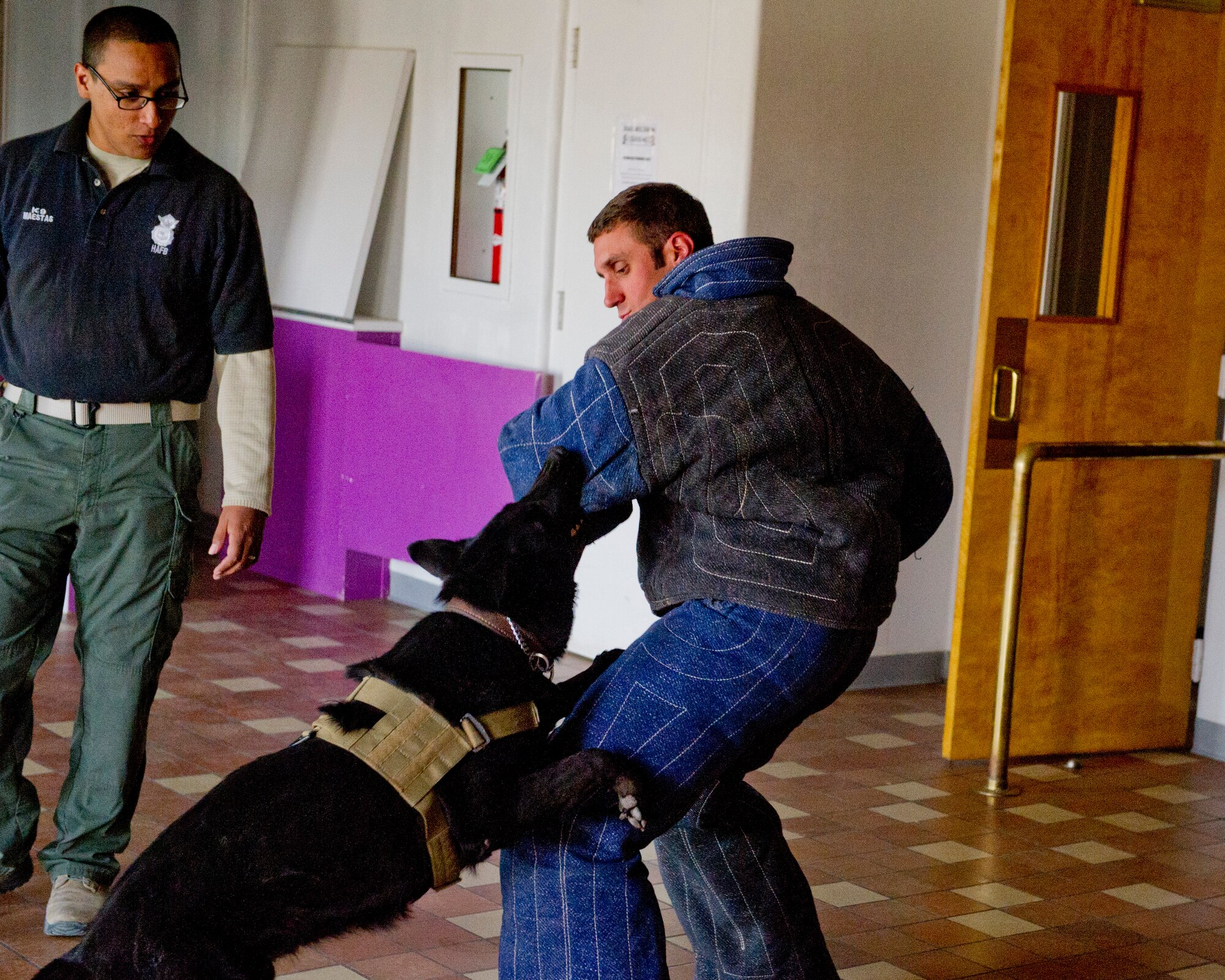 Staff Sgt. David Maestas, 49th Security Forces Squadron Military Working Dog handler, oversees Timothy Keller, a Border Patrol agent, being detained by Military Working Dog Vulkan, during a training mission in the Library Annex at Holloman Air Force Base, N.M., March 19. Holloman’s 49th Security Forces Squadron Military Working Dog Unit hosted quarterly training with multiple law enforcement agencies from the surrounding areas including Border Patrol, New Mexico State University and Fort Bliss. The day consists of emergency veterinary procedure training, comparing tactics of entering a building and capturing a decoy, obedience training, and bomb search and detection. (U.S. Air Force photo by Airman 1st Class Chase Cannon/ Released)