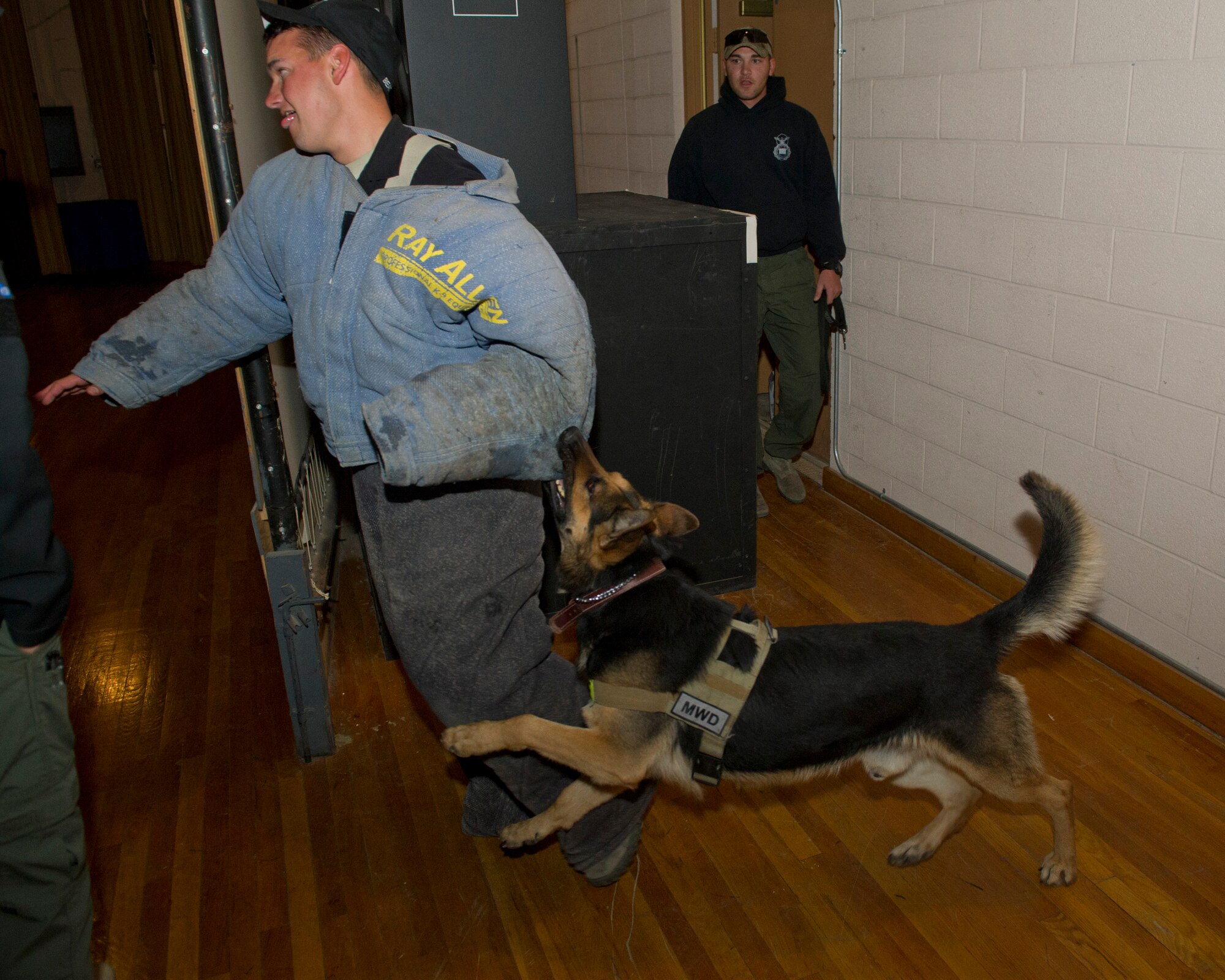 Staff Sgt. Jason Otten, 49th Security Forces Squadron Military Working Dog handler, oversees Staff Sgt. Travis Beatty, 49th Security Forces Squadron Military Working Dog handler, being detained by Military Working Dog Rando, during a training mission in the Library Annex at Holloman Air Force Base, N.M., March 19. Holloman’s 49th Security Forces Squadron Military Working Dog Unit hosted quarterly training with multiple law enforcement agencies from the surrounding areas including Border Patrol, New Mexico State University and Fort Bliss. The day consists of emergency veterinary procedure training, comparing tactics of entering a building and capturing a decoy, obedience training, and bomb search and detection. (U.S. Air Force photo by Airman 1st Class Chase Cannon/ Released)