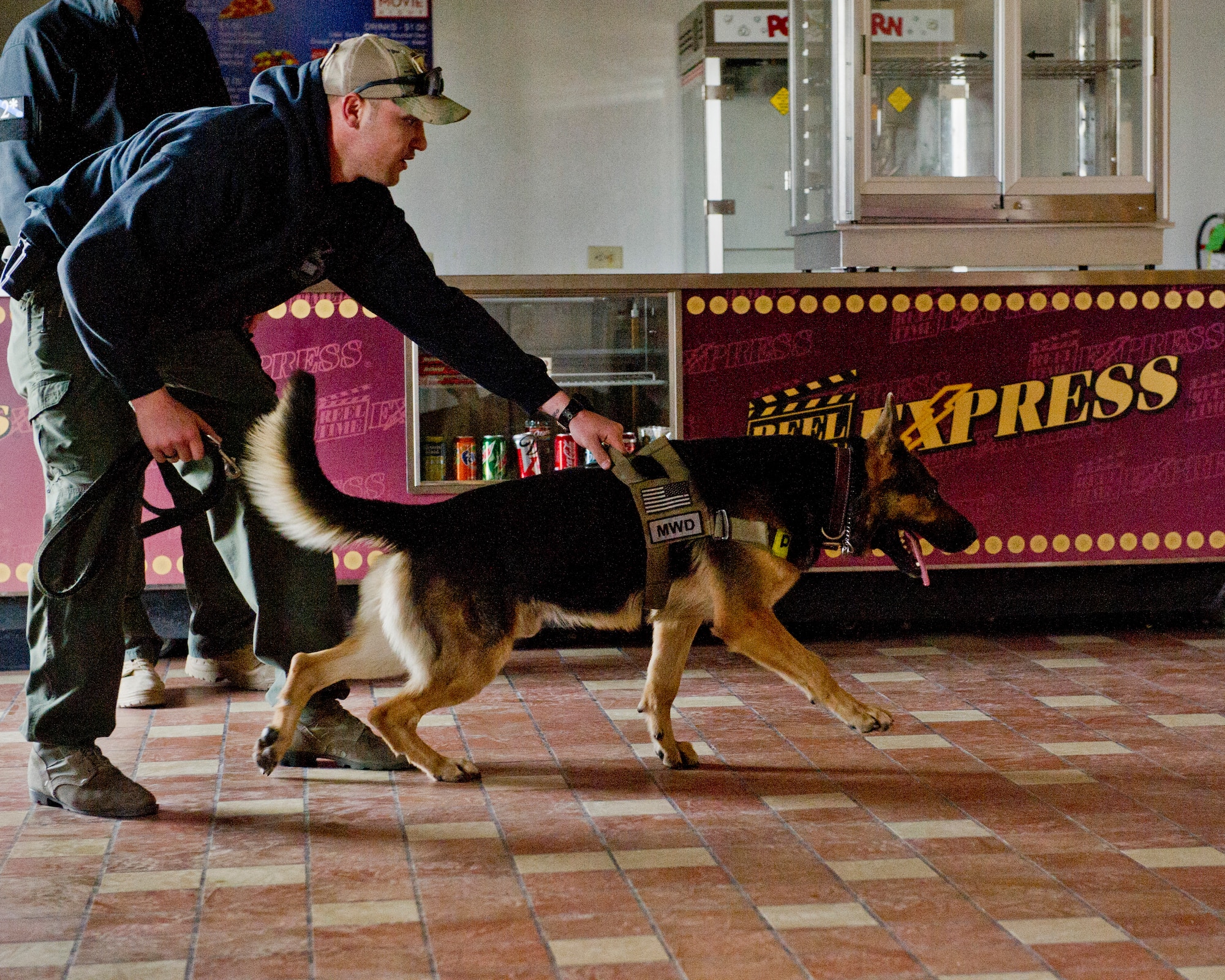 Staff Sgt. Jason Otten, 49th Security Forces Squadron Military Working Dog handler, and Military Working Dog Rando, conduct a training mission in the Library Annex at Holloman Air Force, N.M., March 19. Holloman’s 49th Security Forces Squadron Military Working Dog Unit hosted quarterly training with multiple law enforcement agencies from the surrounding areas including Border Patrol, New Mexico State University and Fort Bliss. The day consists of emergency veterinary procedure training, comparing tactics of entering a building and capturing a decoy, obedience training, and bomb search and detection. (U.S. Air Force photo by Airman 1st Class Chase Cannon/ Released)