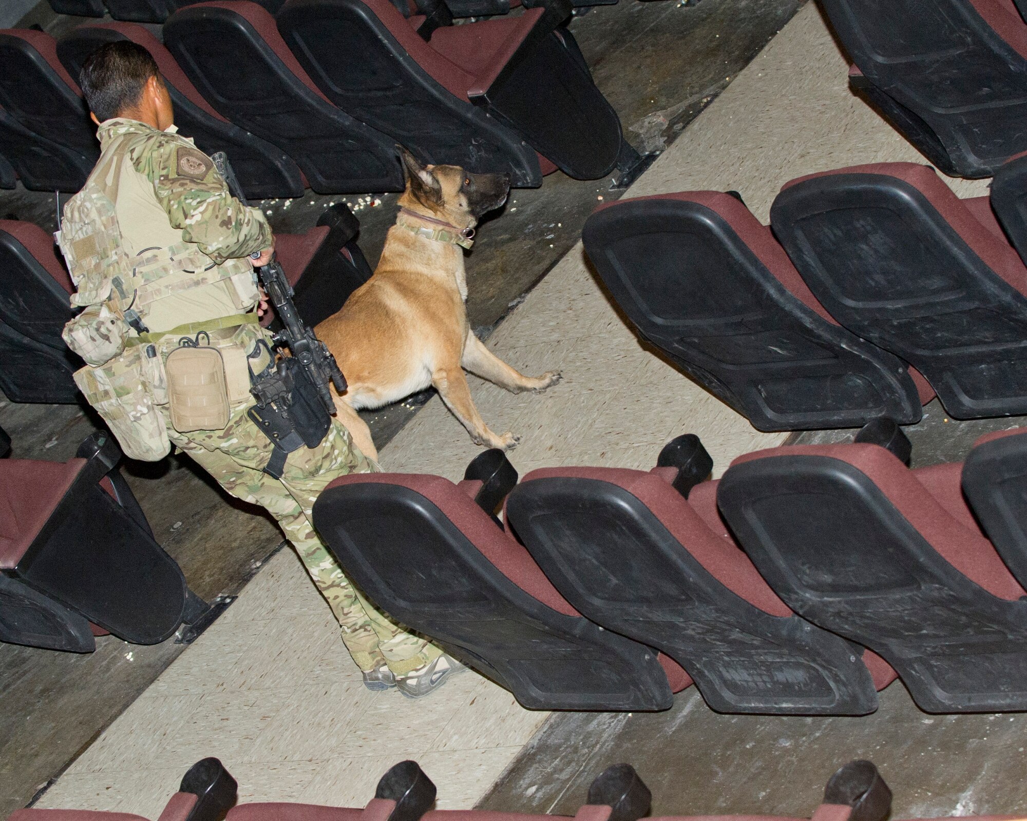 Chris Lopez, a border patrol agent, and his patrol K-9 Joe, conduct a training mission in the Library Annex at Holloman Air Force Base, N.M., March 19. Holloman’s 49th Security Forces Squadron Military Working Dog Unit hosted quarterly training with multiple law enforcement agencies from the surrounding areas including Border Patrol, New Mexico State University and Fort Bliss. The day consists of emergency veterinary procedure training, comparing tactics of entering a building and capturing a decoy, obedience training, and bomb search and detection. (U.S. Air Force photo by Airman 1st Class Chase Cannon/ Released)