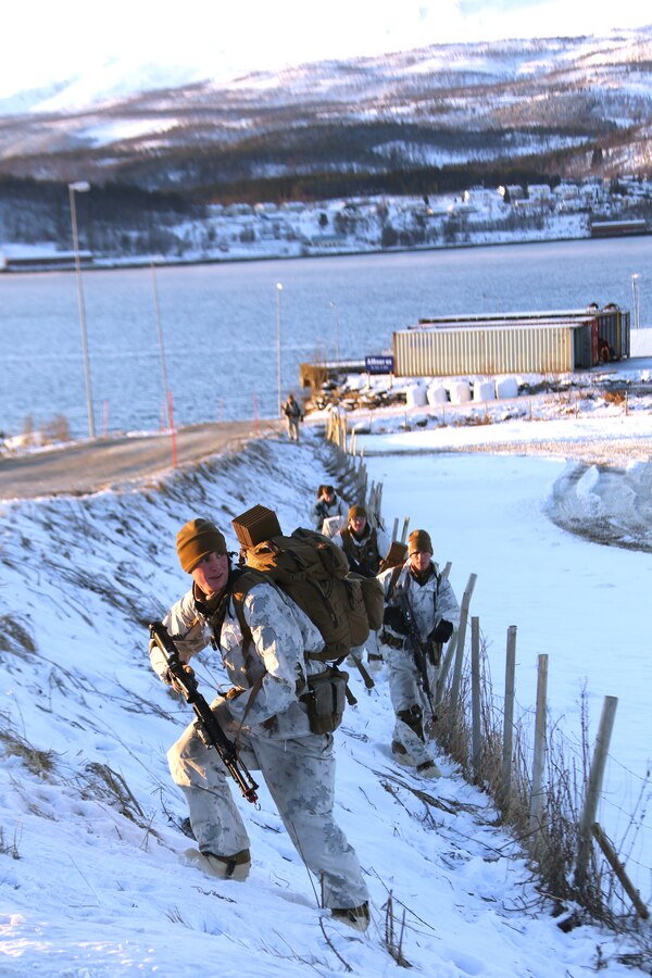 Cold Response 14 brings together nearly 16,000 troops from 16 countries to train high-intensity operations in the unique climate above the Arctic Circle to strengthen the alliance of partners and their commitment to global security in any clime and place.