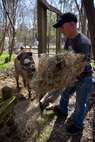 Lance Cpl. Ben Seeger, a Merrill, Wis., native and Marine with General Support Maintenance Company, 2nd Maintenance Battalion, 2nd Marine Logistics Group, delivers hay to animals at the Lynwood Park Zoo in Jacksonville, N.C., March 15, 2014. Thirty Marines with the company volunteered time during their weekend at several locations throughout the area as a way to give back to the community that surrounds Marine Corps Base Camp Lejeune, N.C.