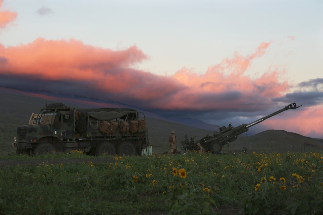 Artillery Marines with Bravo Battery, 1st Battalion, 12th Marine Regiment, prepare the M777 155 mm Howitzer system for night fire operations during Operation Spartan Fury 14.2 at Pohakuloa Training Area, Hawaii, March 15, 2014.(U.S. Marine Corps photo by Cpl. Nathan Knapke) 