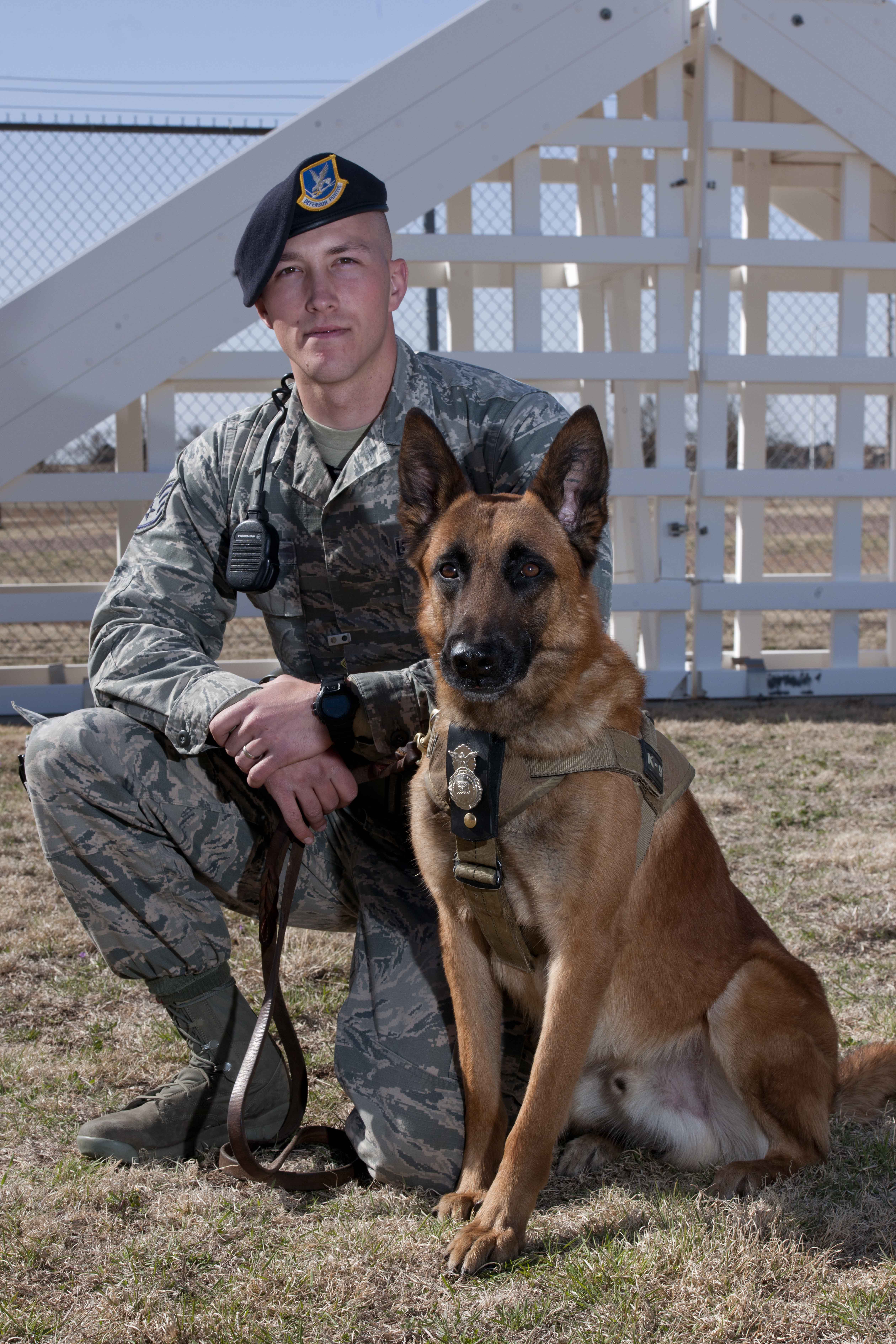 Military Working Dogs 