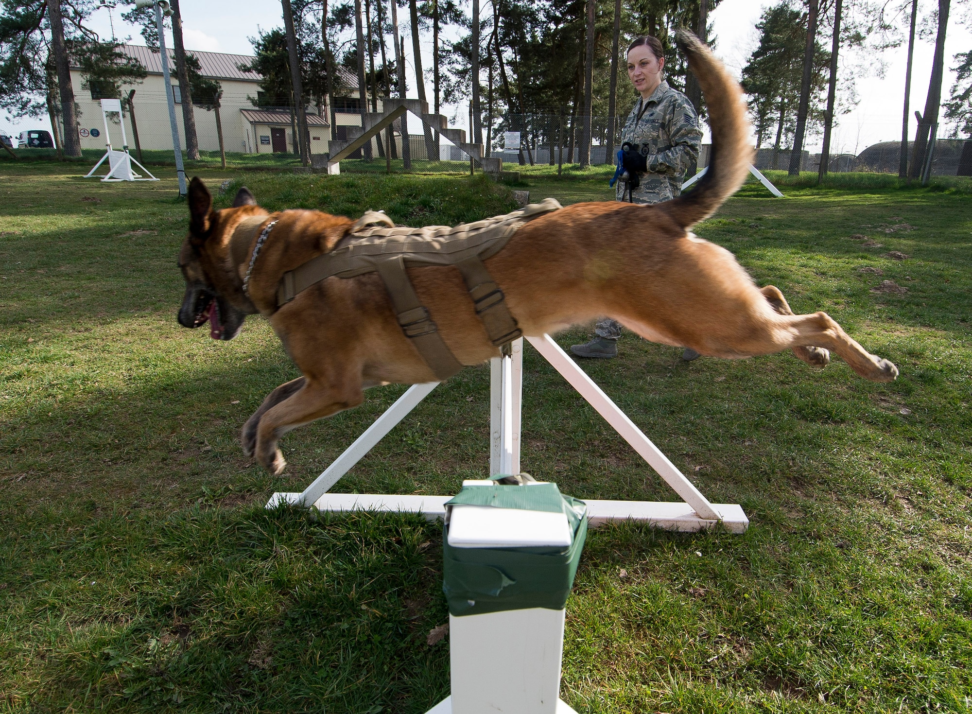 Military working dog Katya jumps a hurdle while running through the obedience course with U.S. Air Force Staff Sgt. Shannon Hennessy, 52nd Security Forces Squadron MWD handler from Colusa, Calif., at the 52nd SFS dog kennel at Spangdahlem Air Base, Germany, March 19, 2014. Daily training such as this not only improves the skills and fitness of the MWDs but also builds camaraderie between the handlers and their dogs. (U.S. Air Force photo by Staff Sgt. Chad Warren/Released)